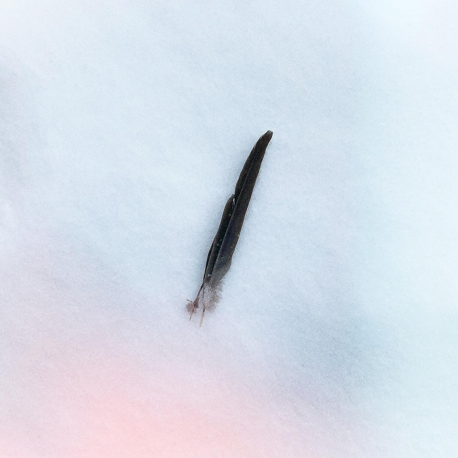 Релиз Feather