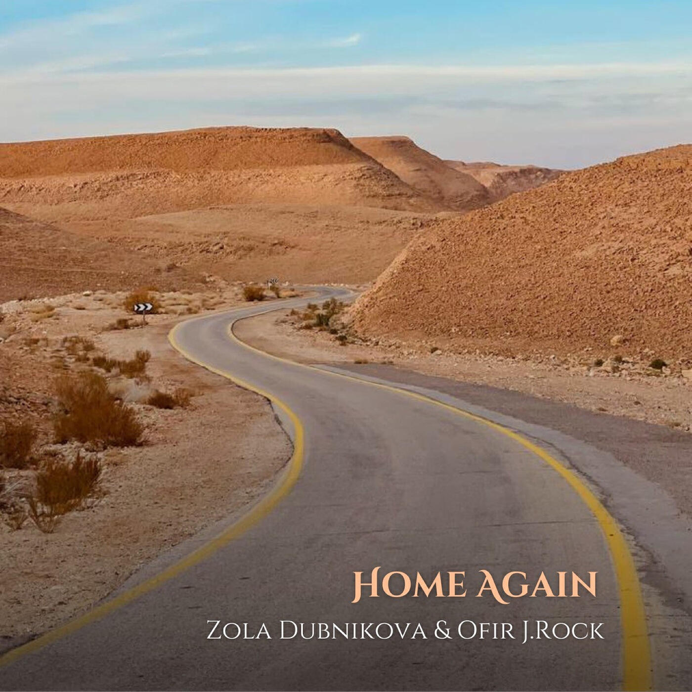 Релиз Home Again