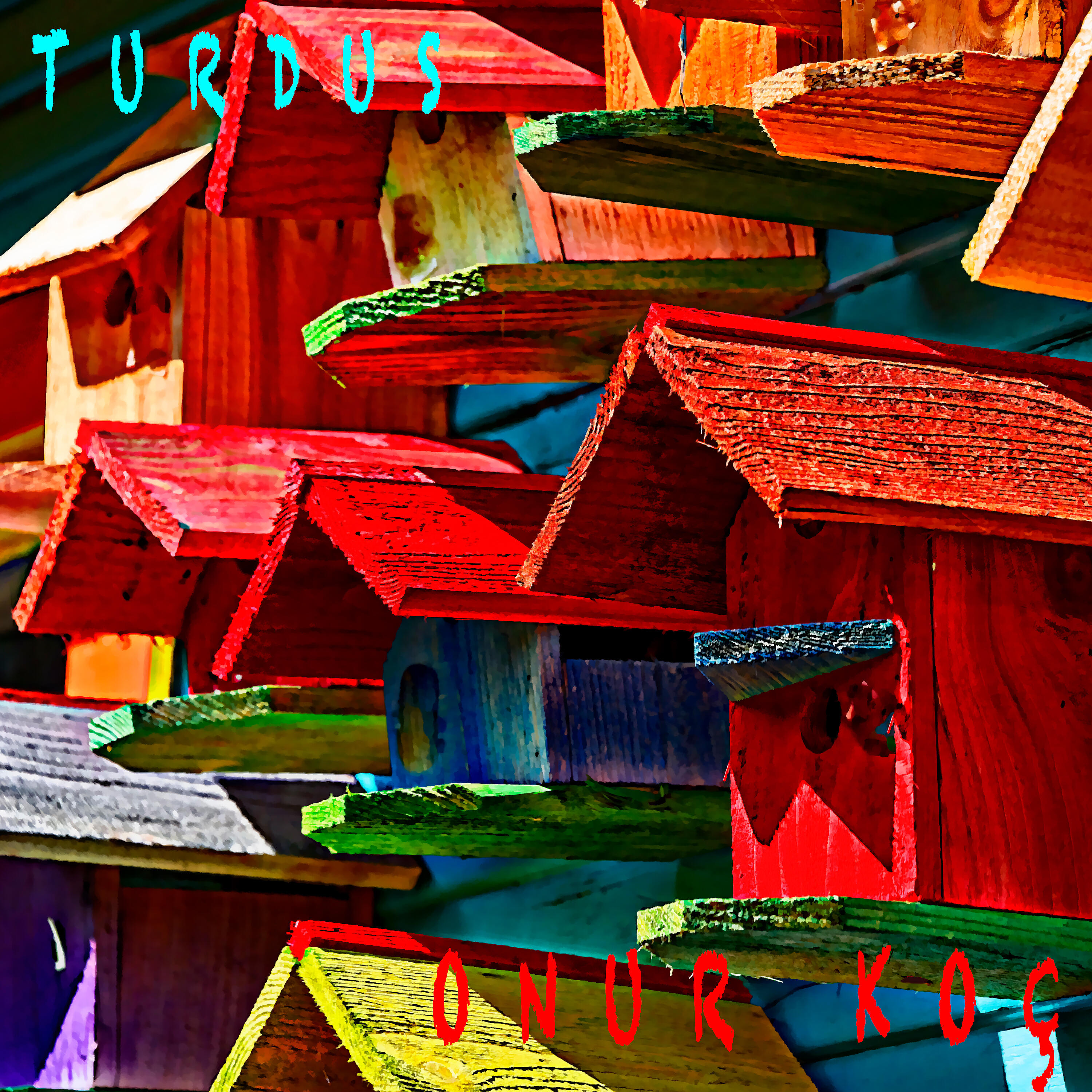 Релиз Turdus
