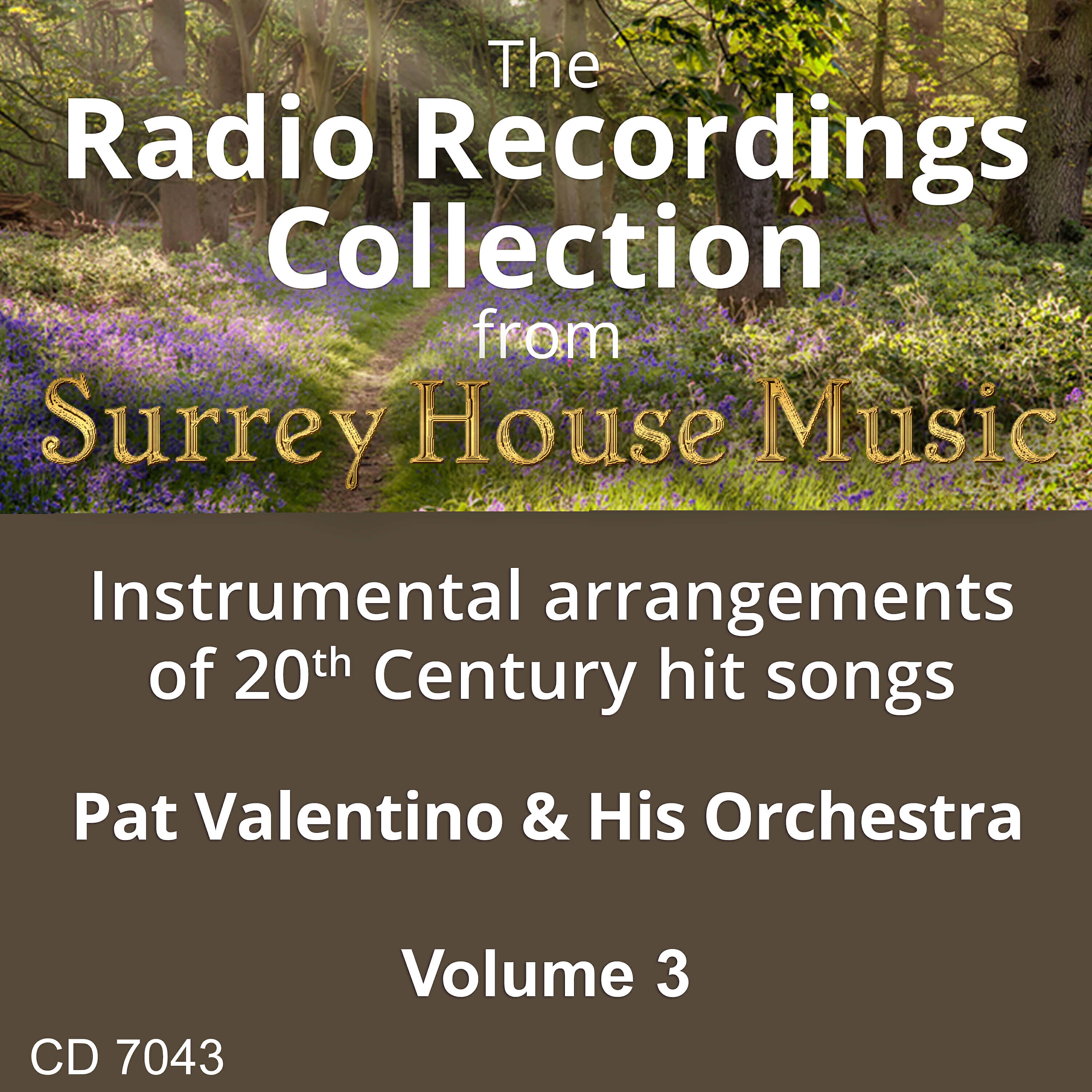 Релиз Pat Valentino & His Orchestra, Vol. 3
