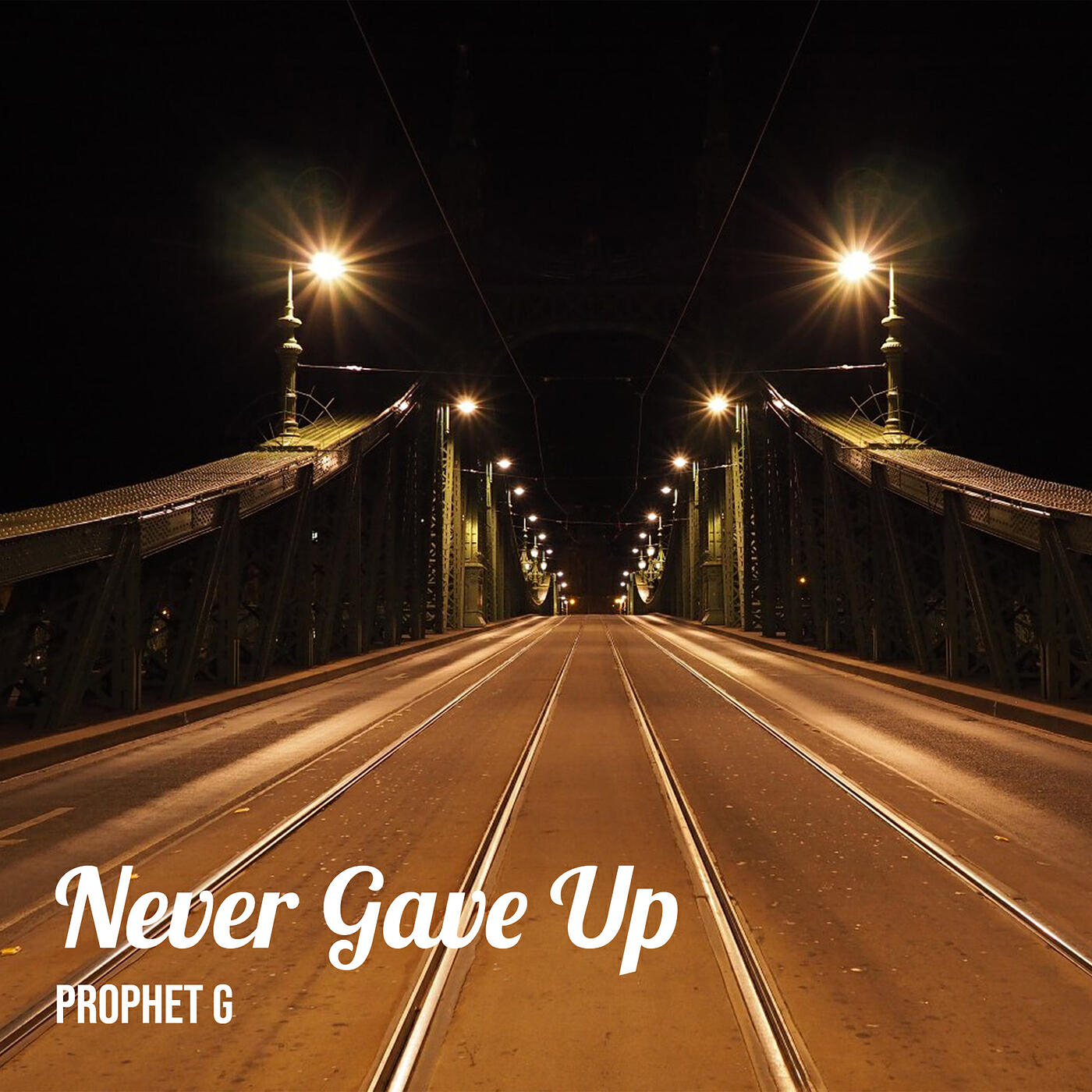 Постер альбома Never Gave Up