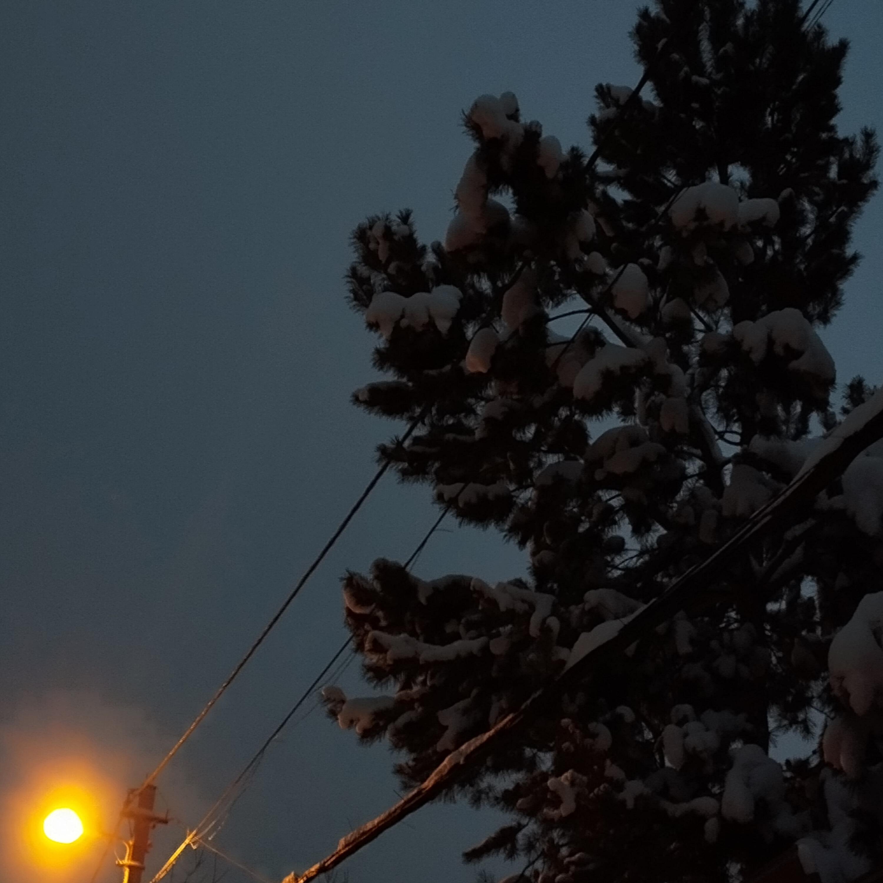 Релиз NIGHT SNOWFALL 3
