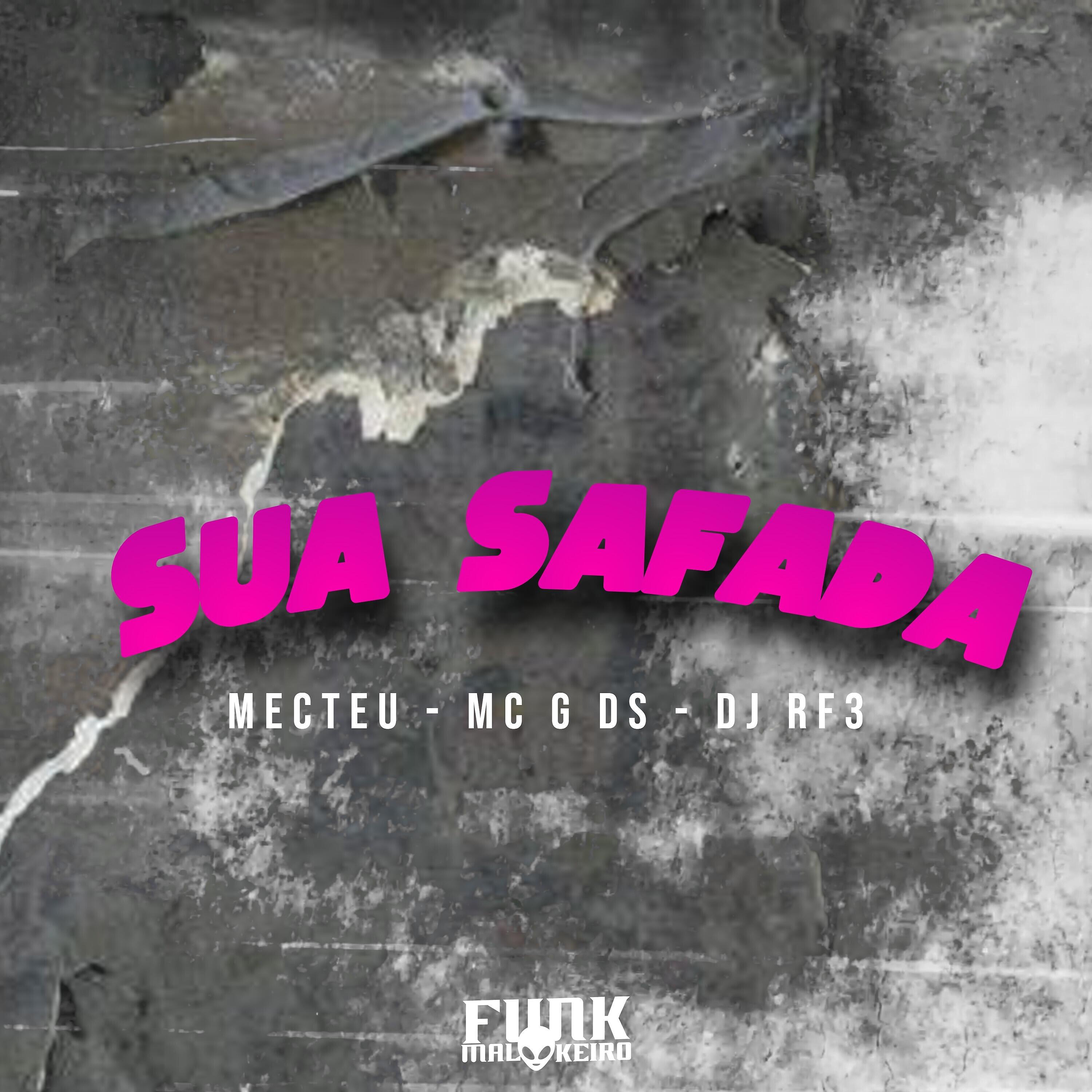 Релиз Sua Safada