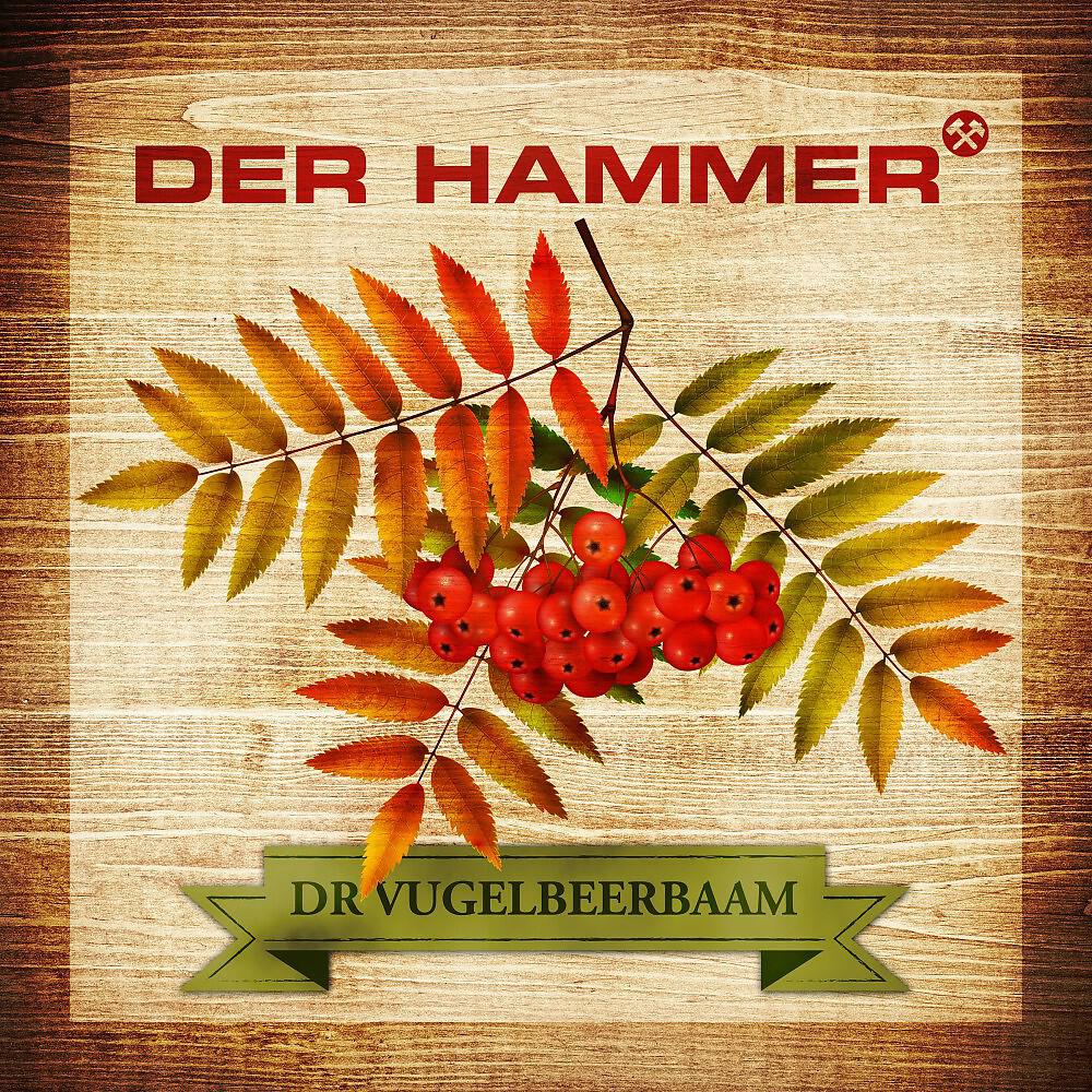 Релиз Dr Vugelbeerbaam