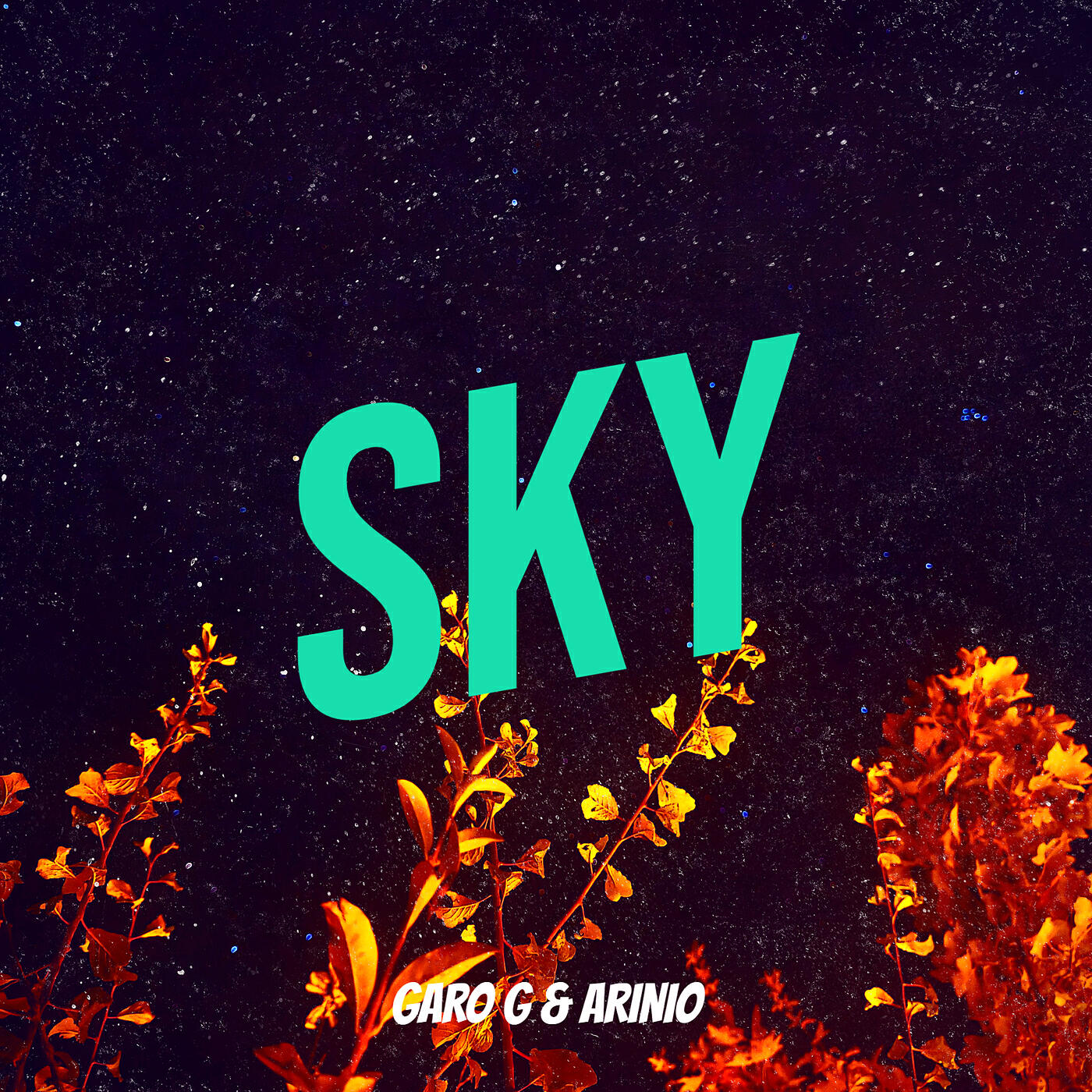 Релиз Sky