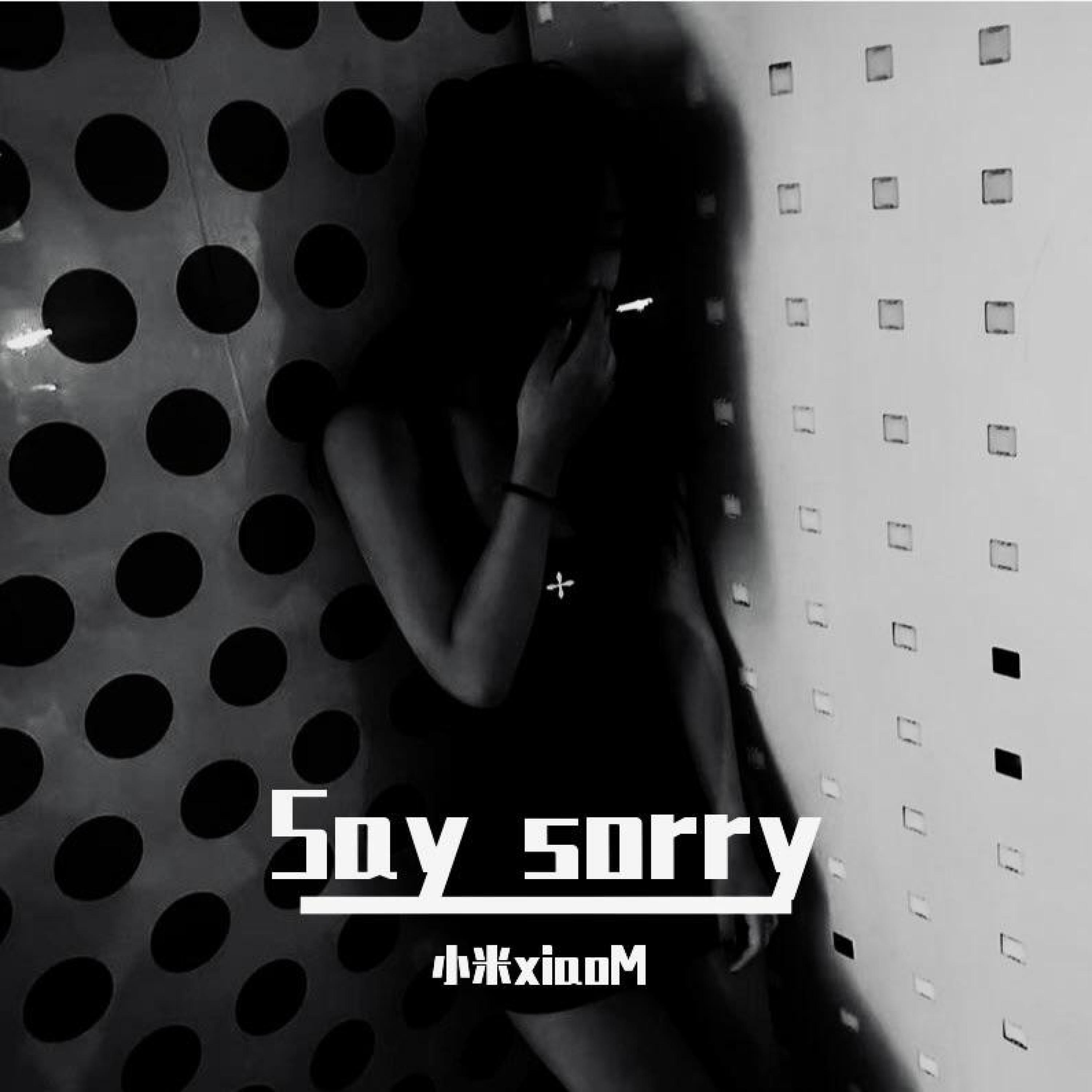 Релиз Say Sorry