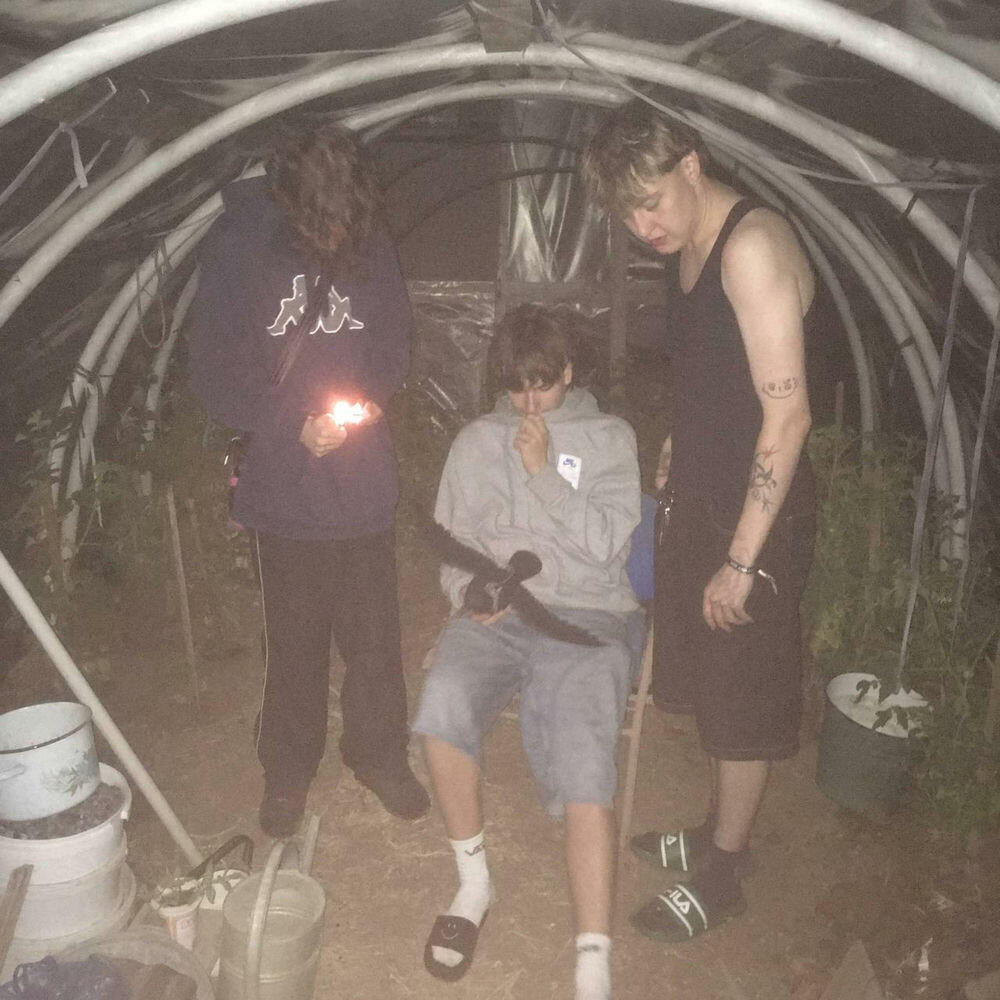 Релиз apake