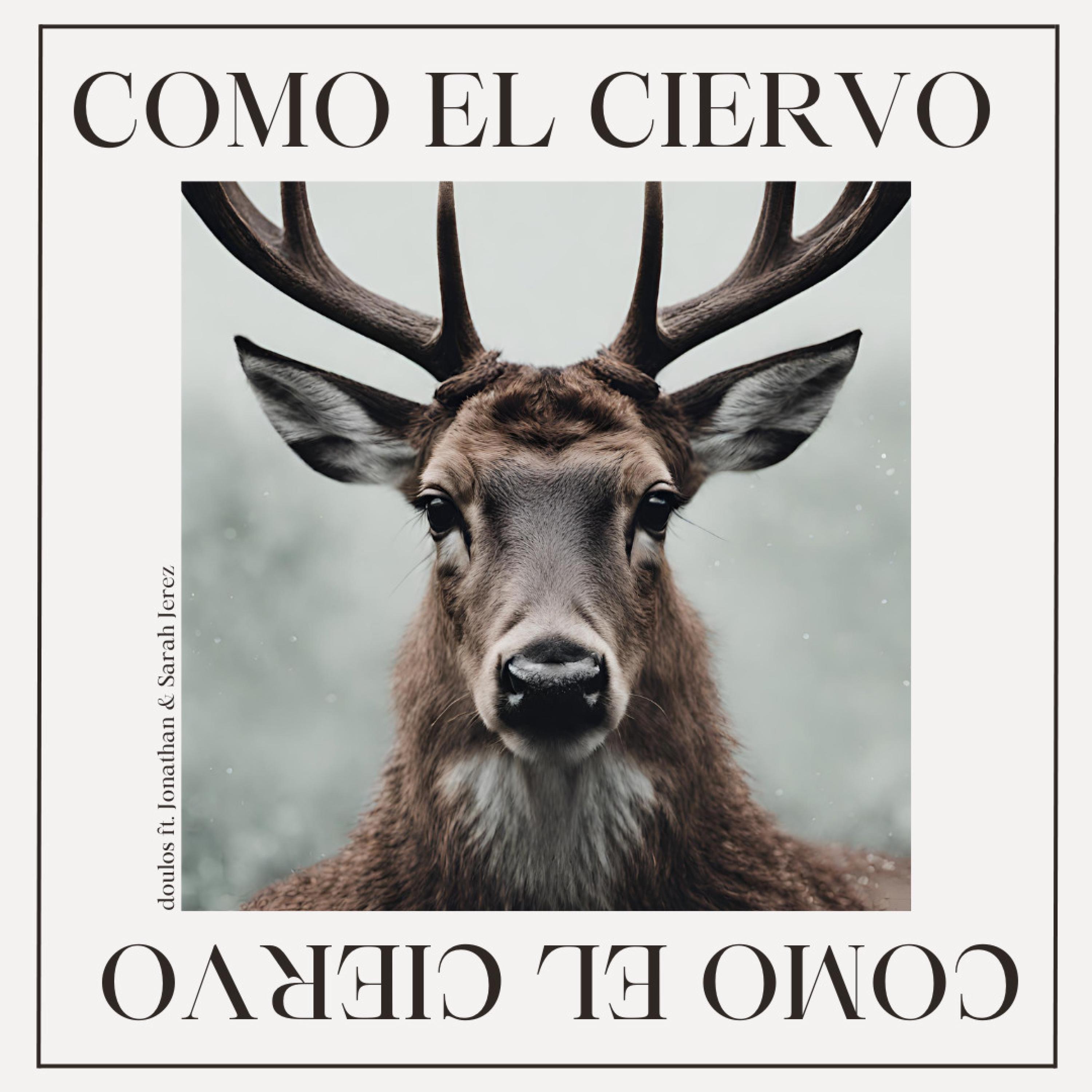 Релиз Como el Ciervo