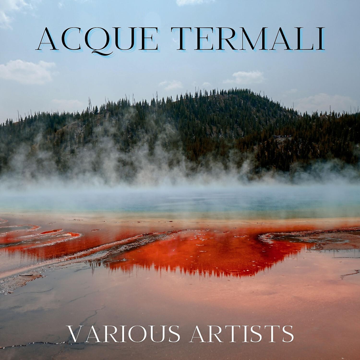 Постер альбома Acque termali