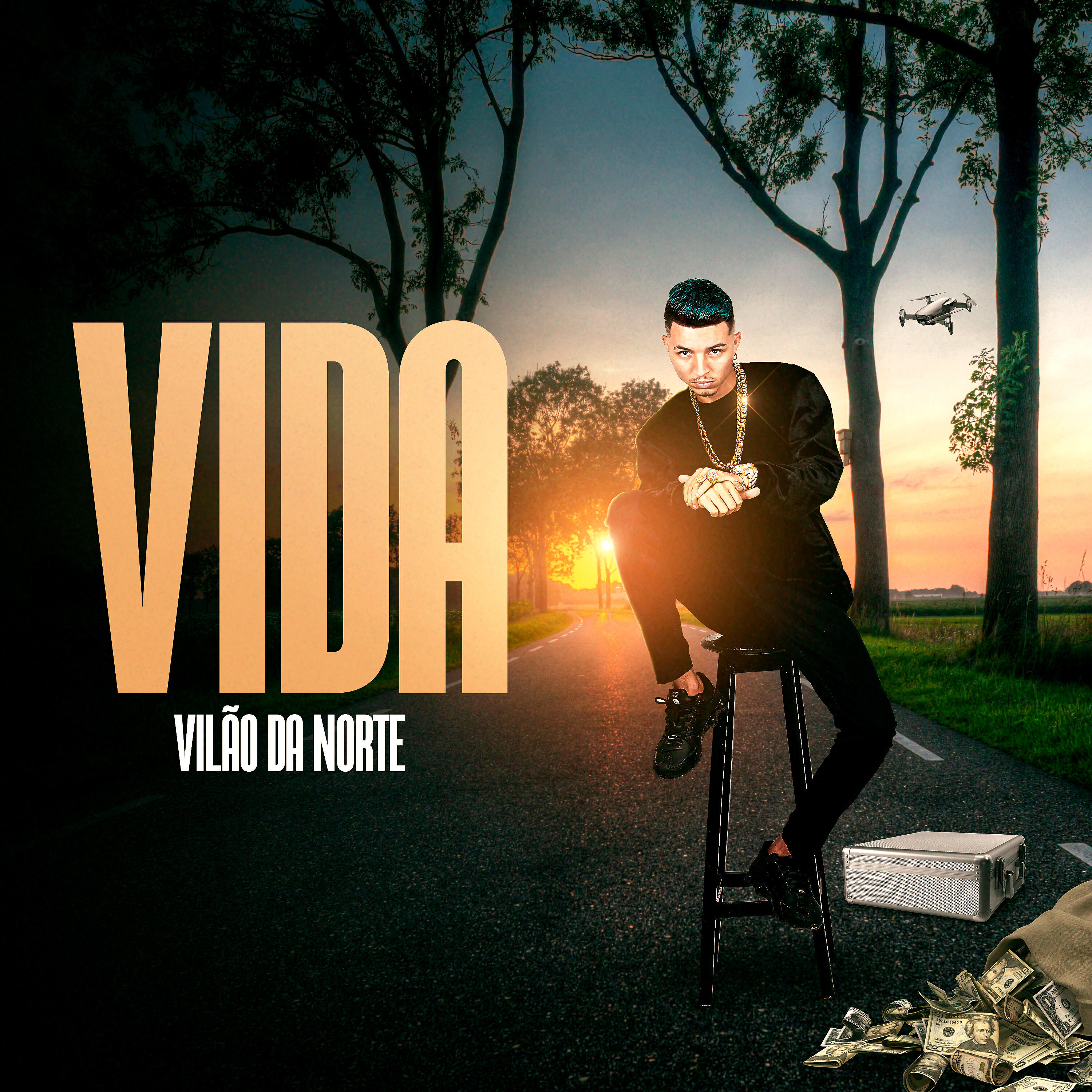Релиз Vida