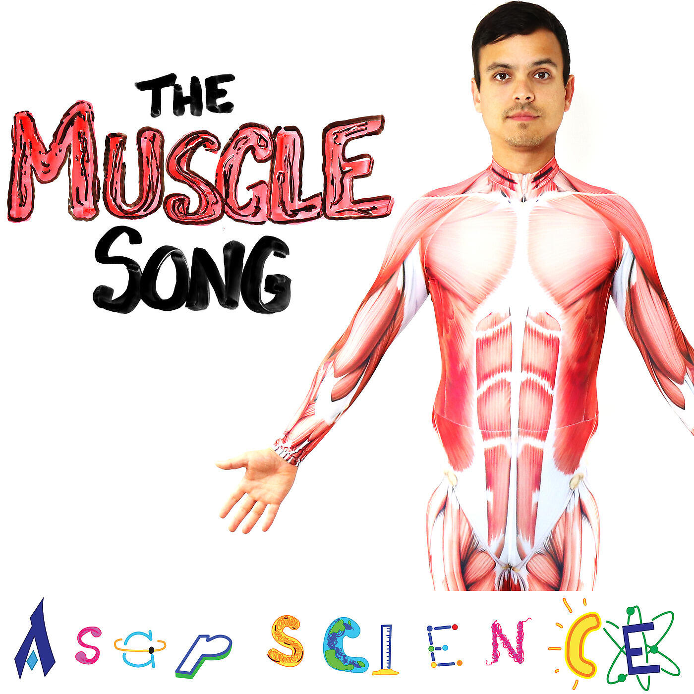 Релиз The Muscle Song