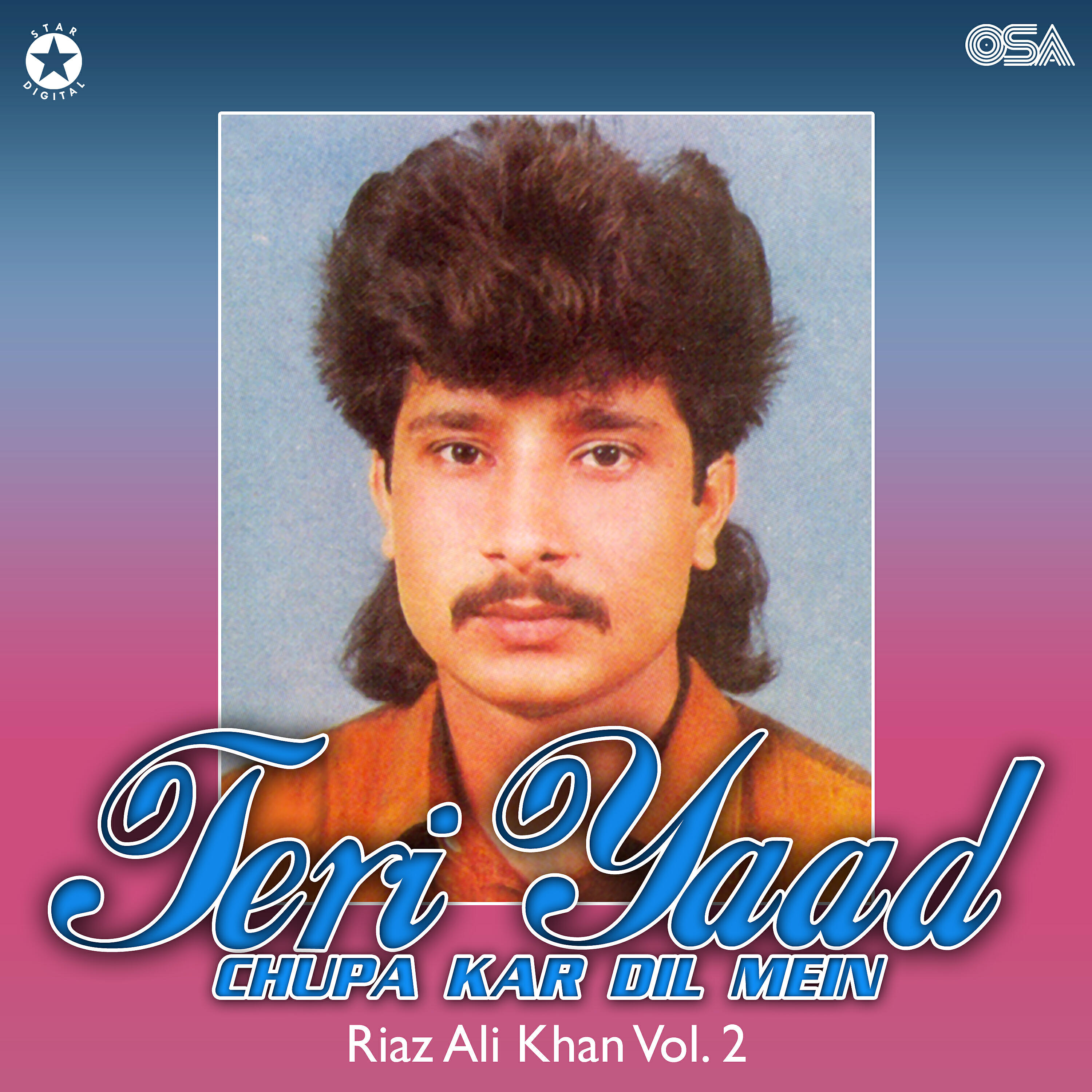 Релиз Teri Yaad Chupa Kar Dil Mein, Vol. 2