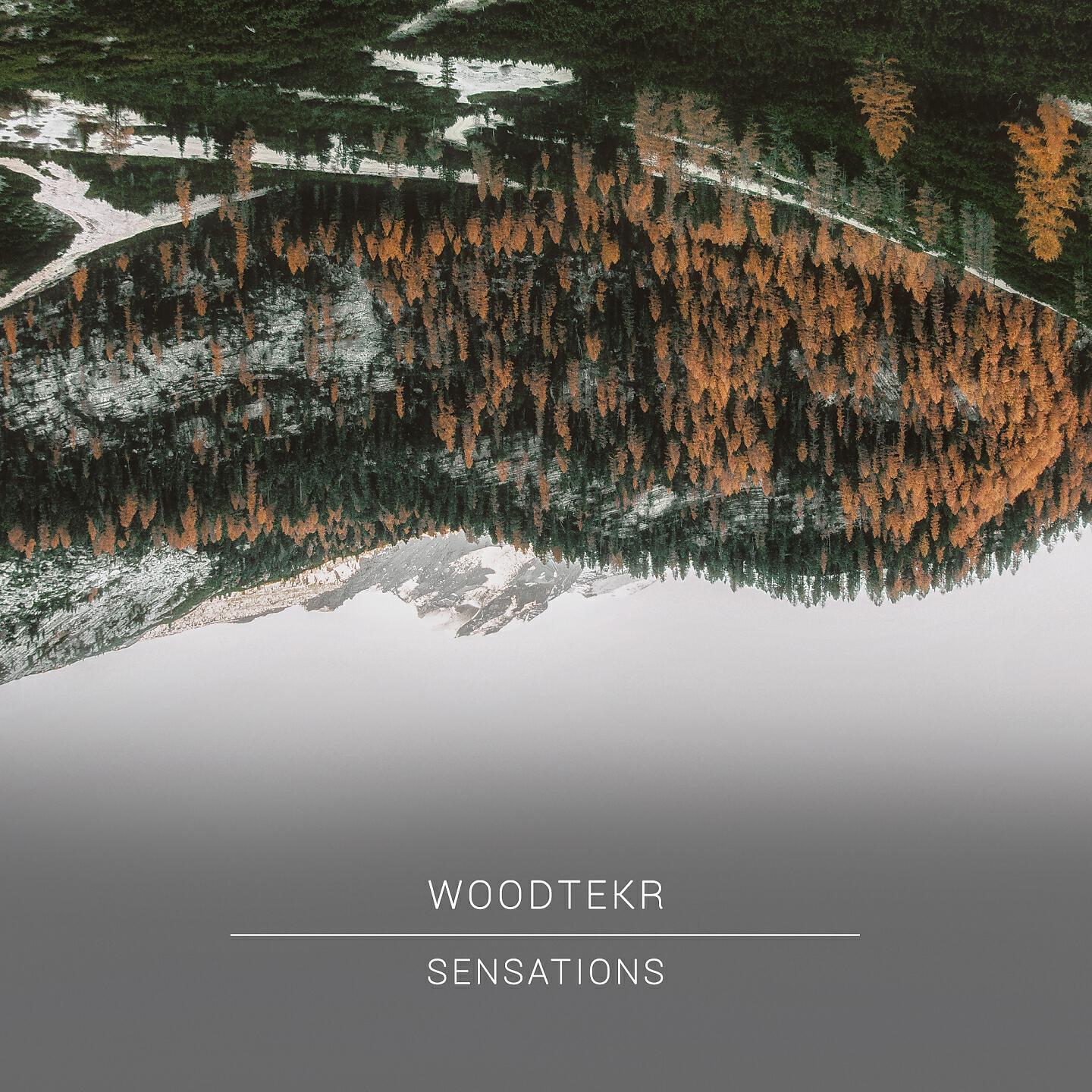 Релиз Sensations