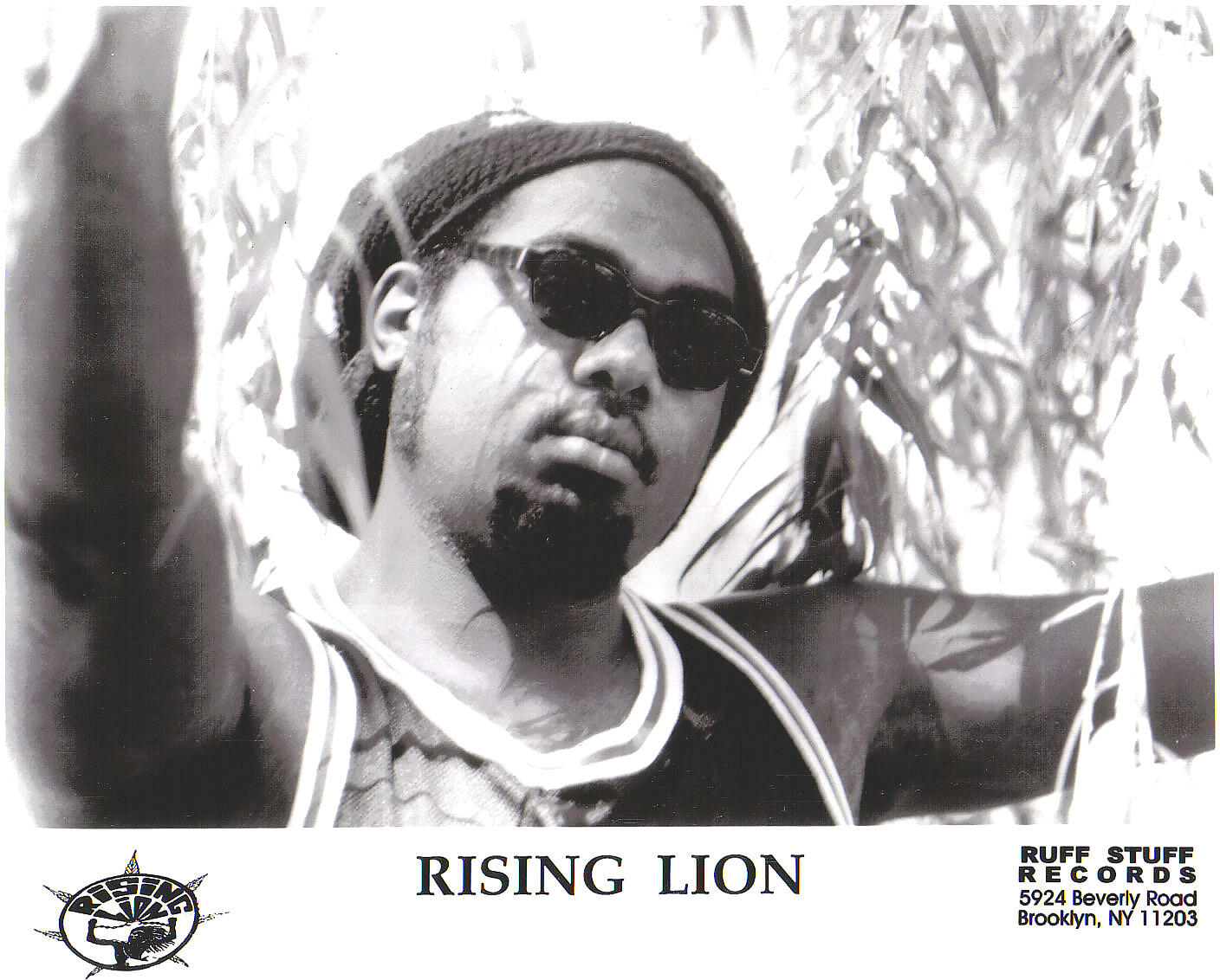 Rising Lion