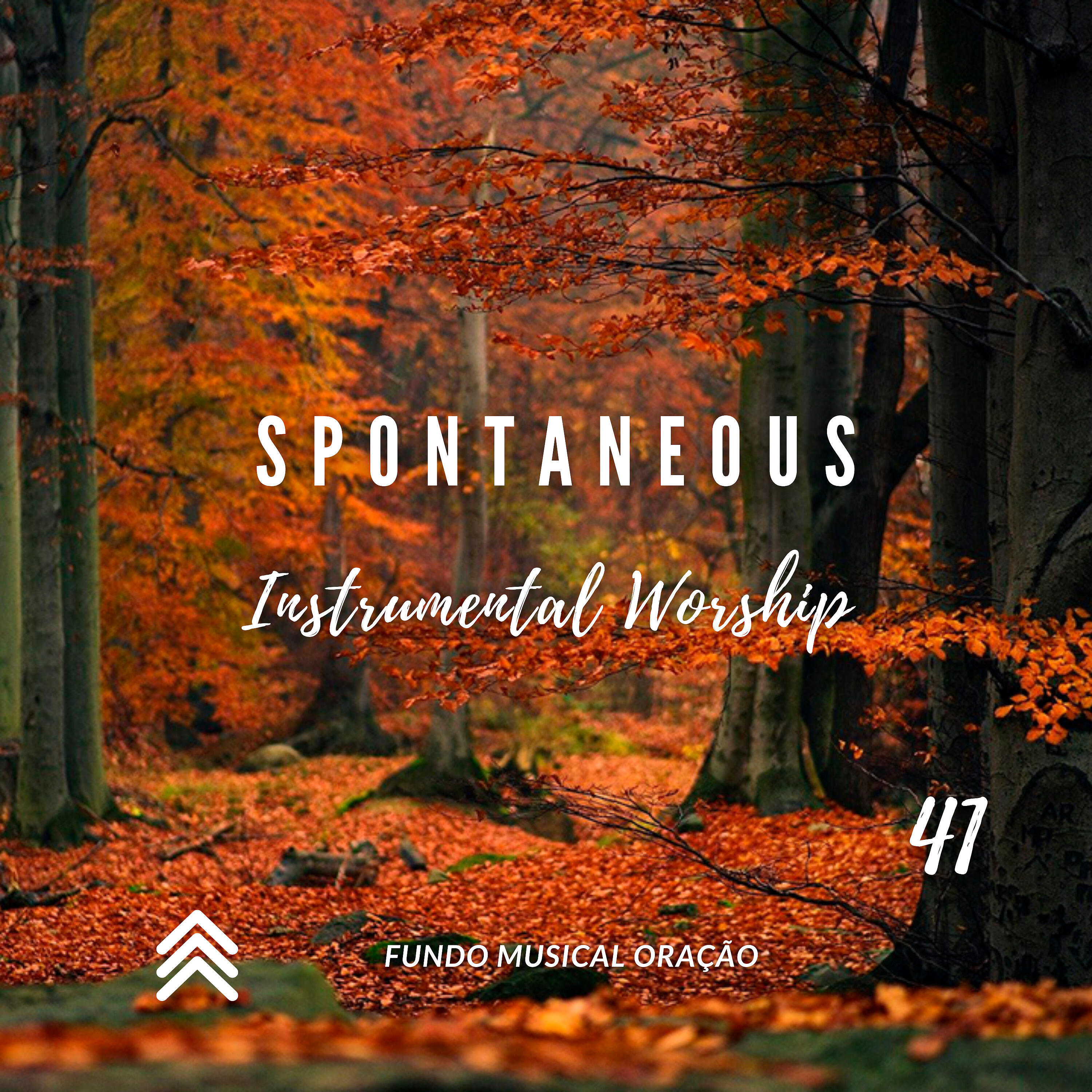 Релиз Spontaneous Instrumental Worship 41