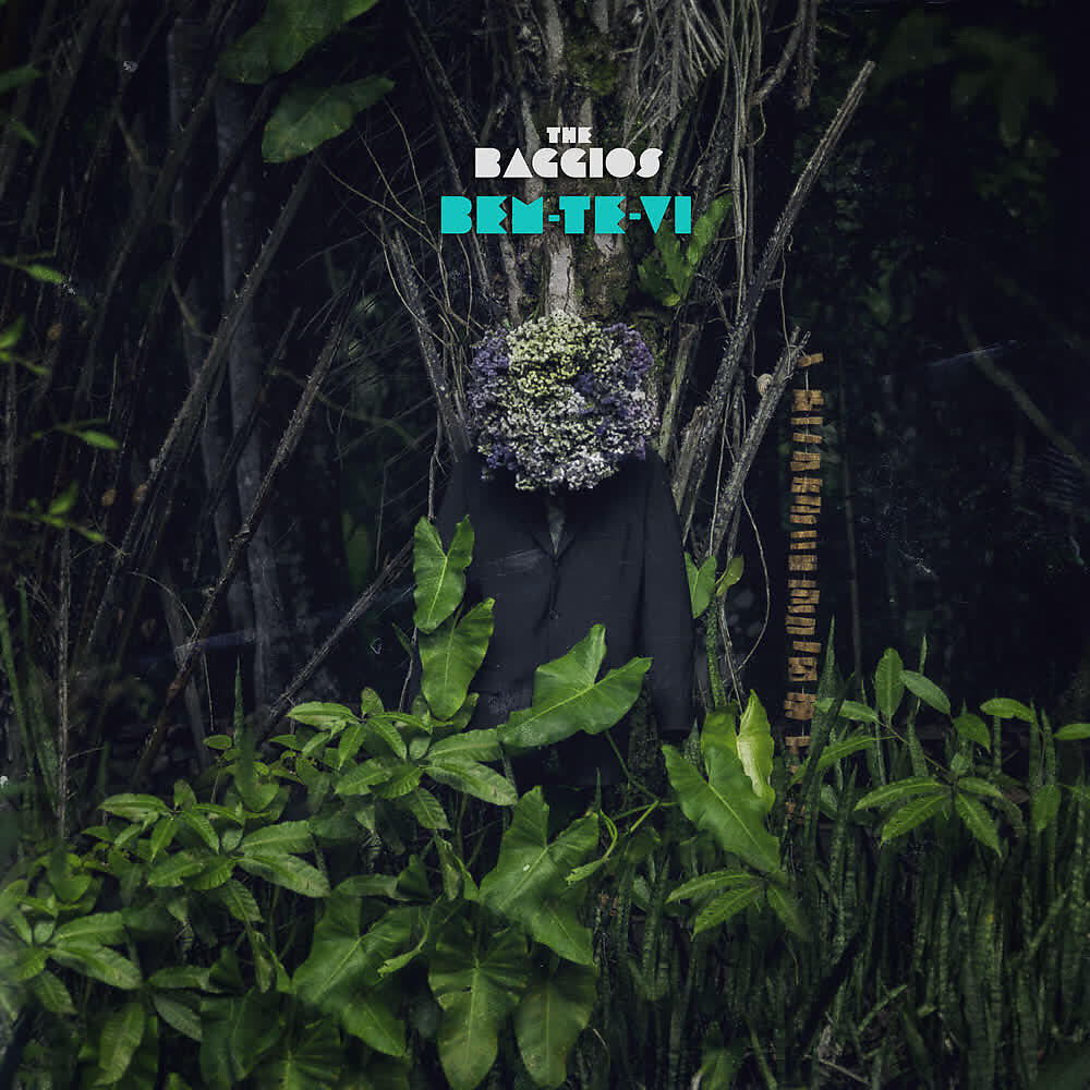Релиз Bem-Te-Vi