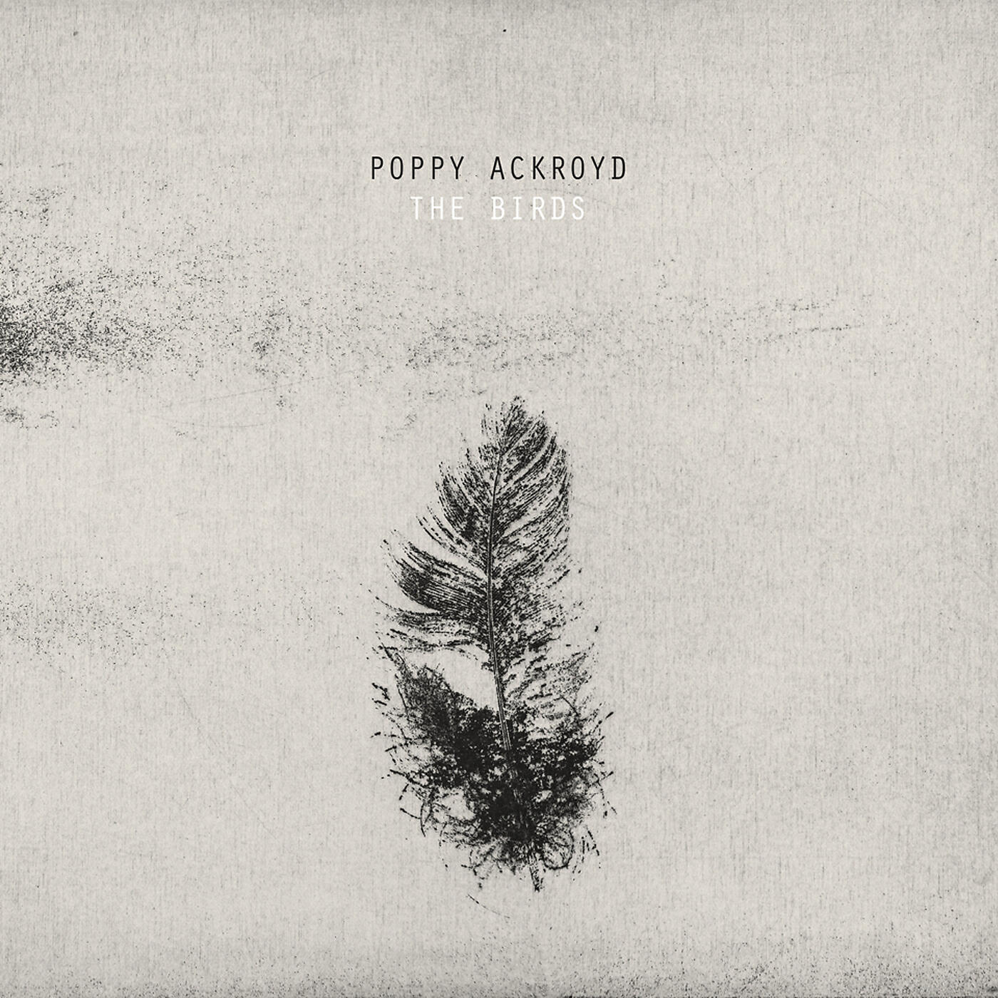 Релиз The Birds