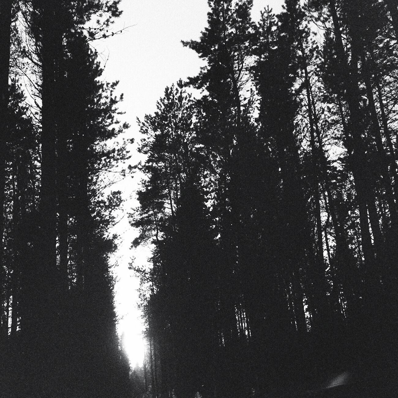 Релиз Light Beam Dialect