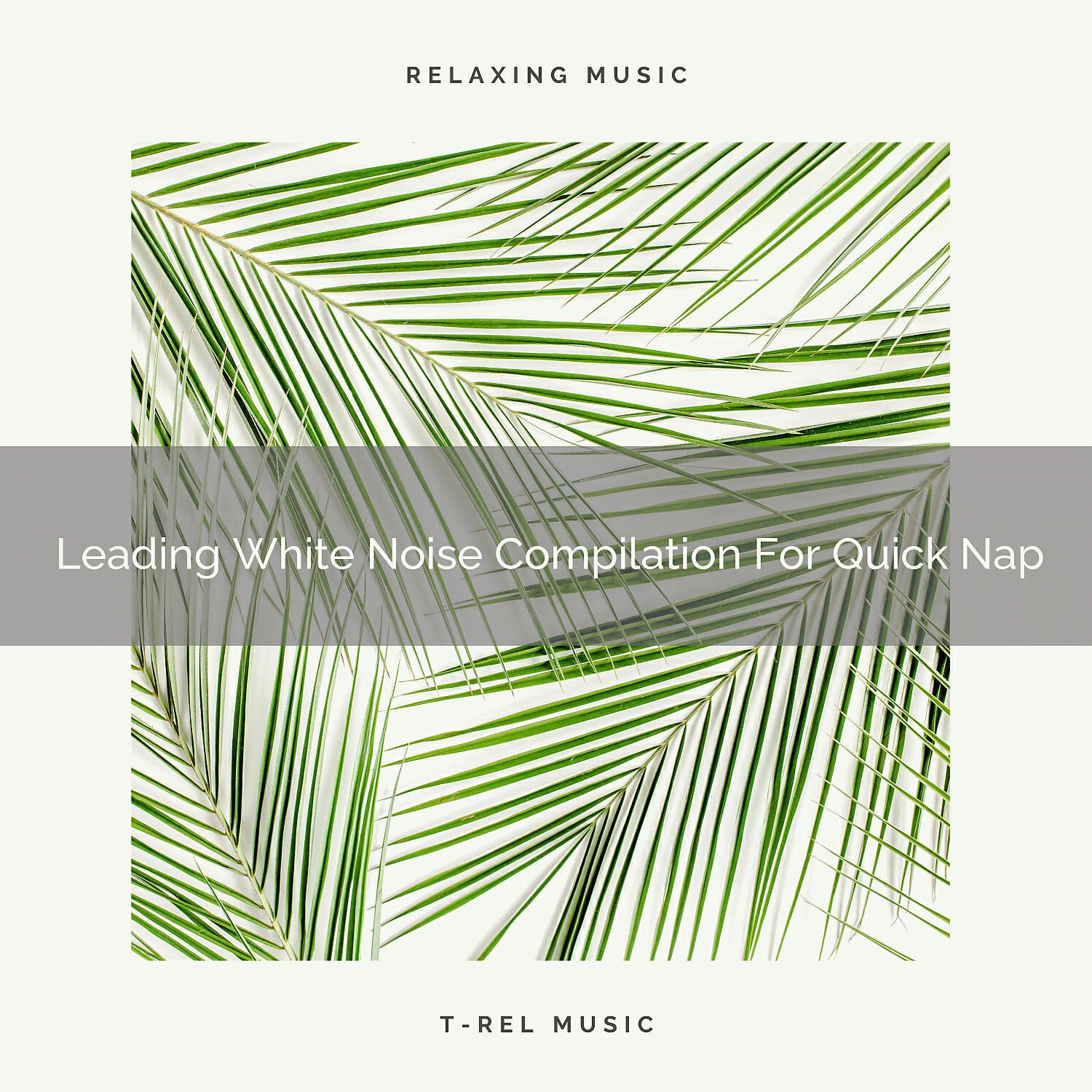 Релиз Leading White Noise Compilation For Quick Nap