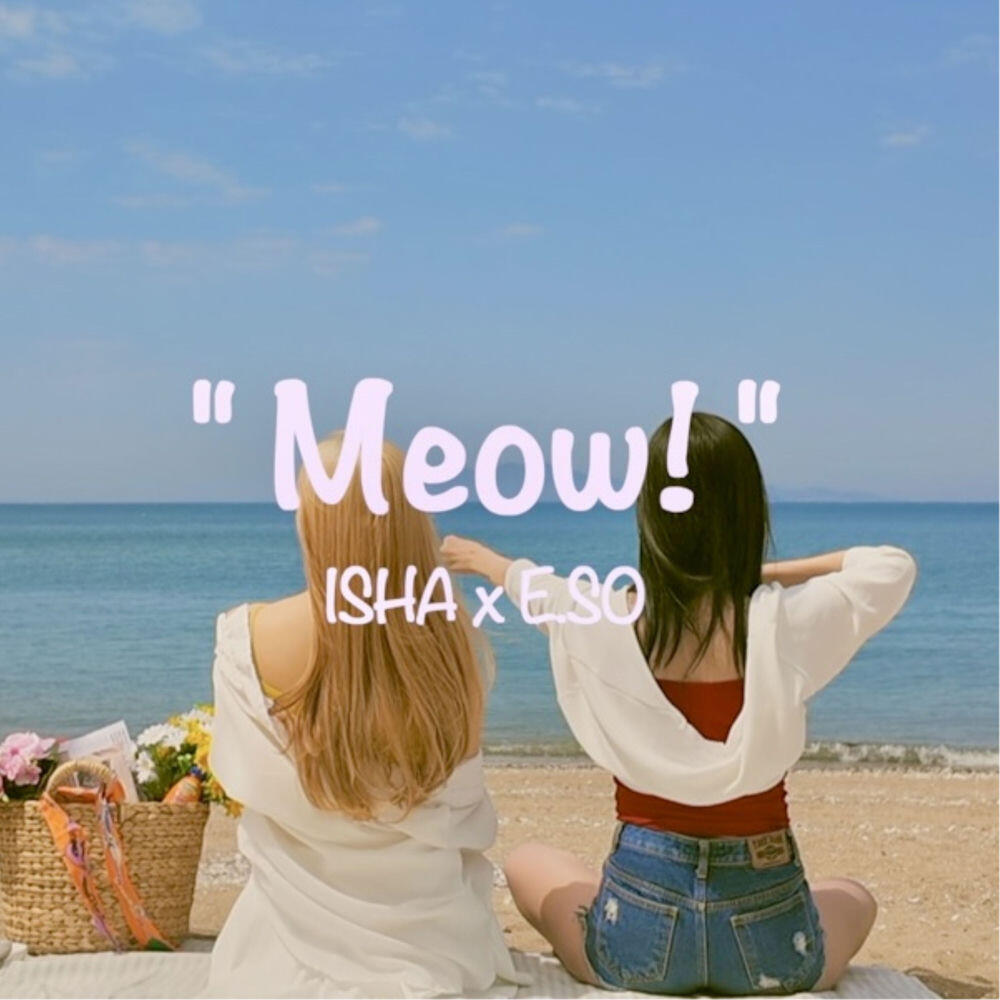 Релиз Meow!