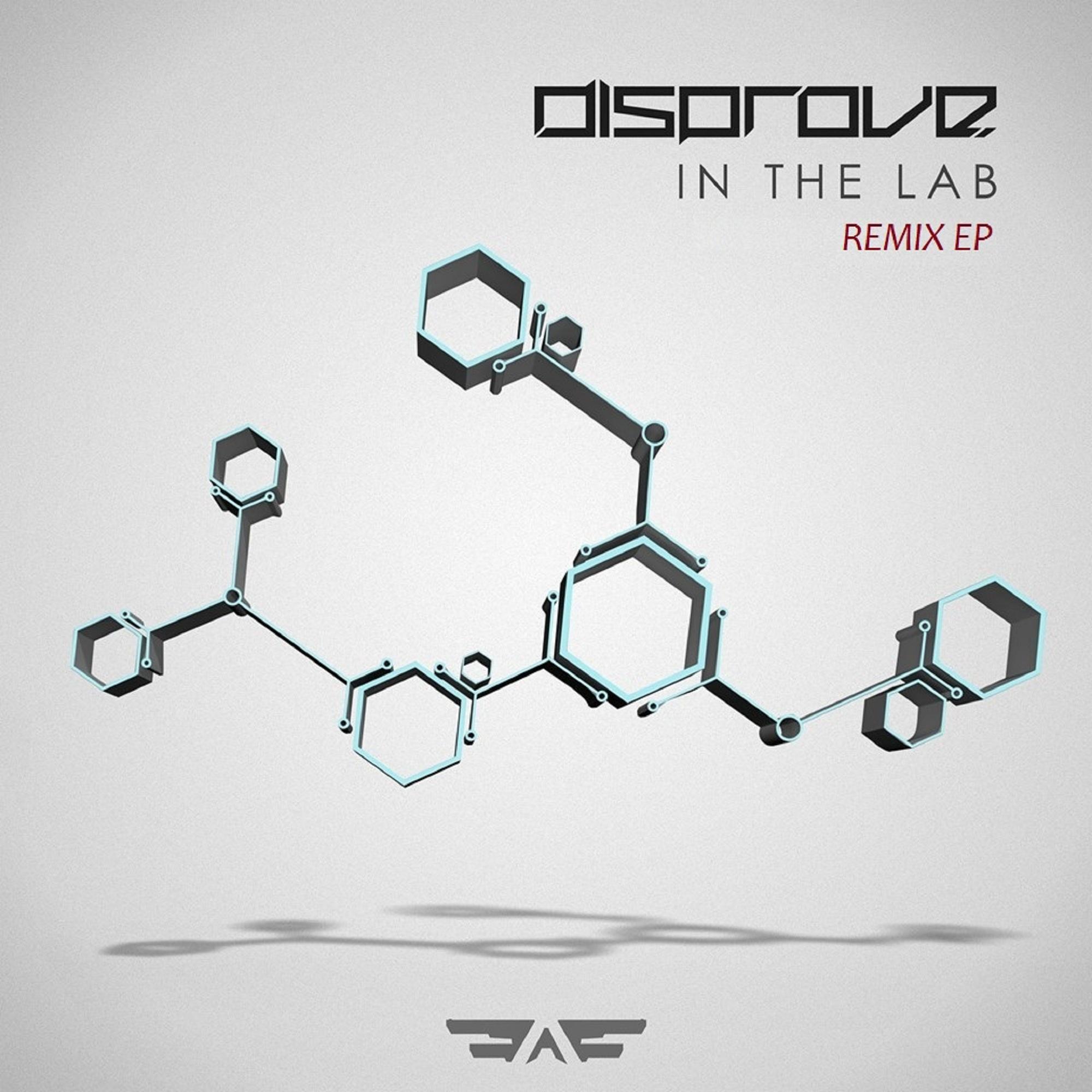 Релиз In The Lab Remix EP