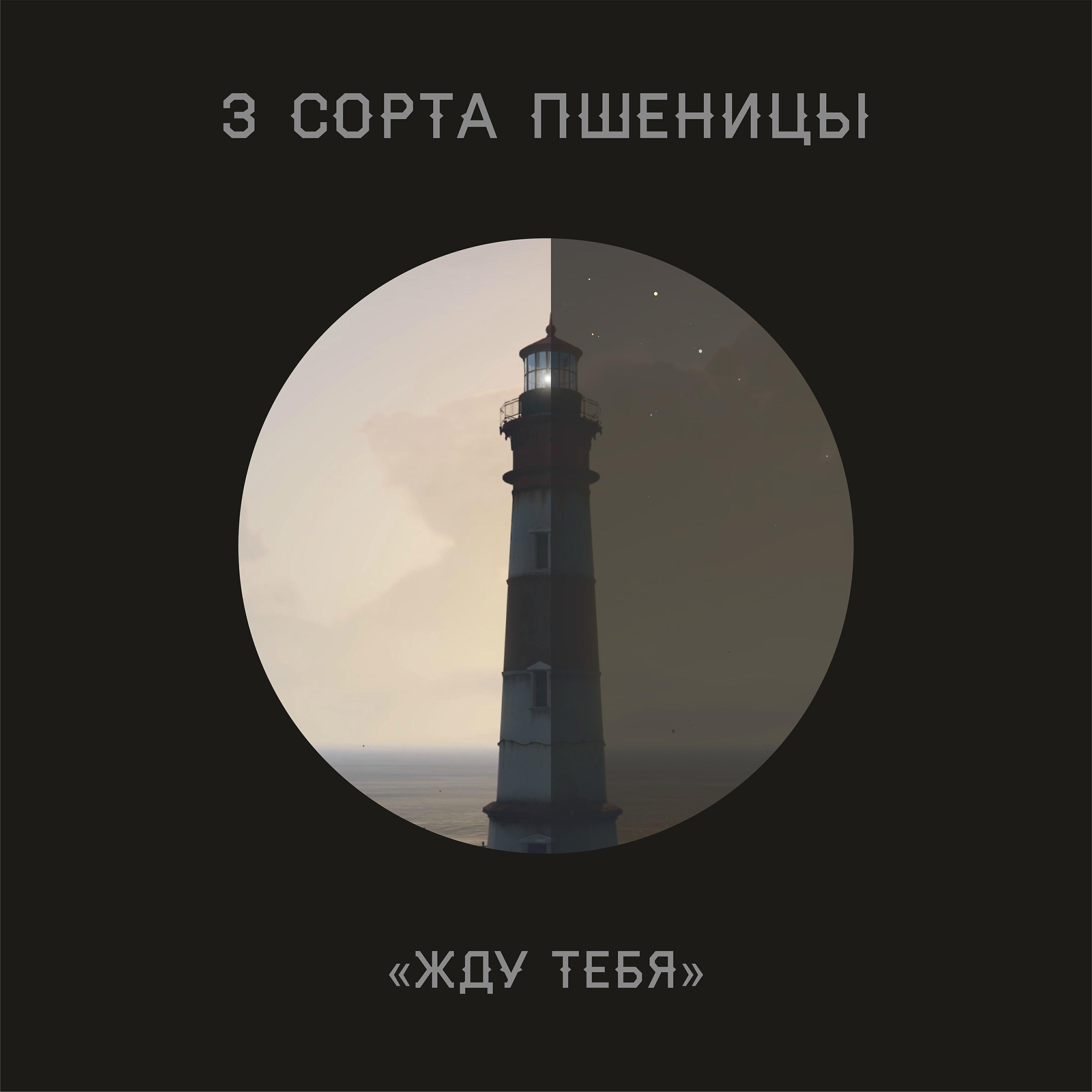 3 Сорта Пшеницы