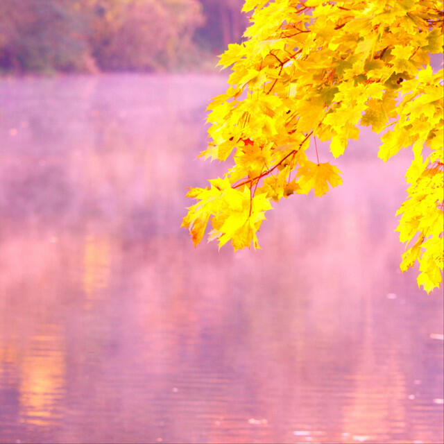 Релиз Body Focus Meditation