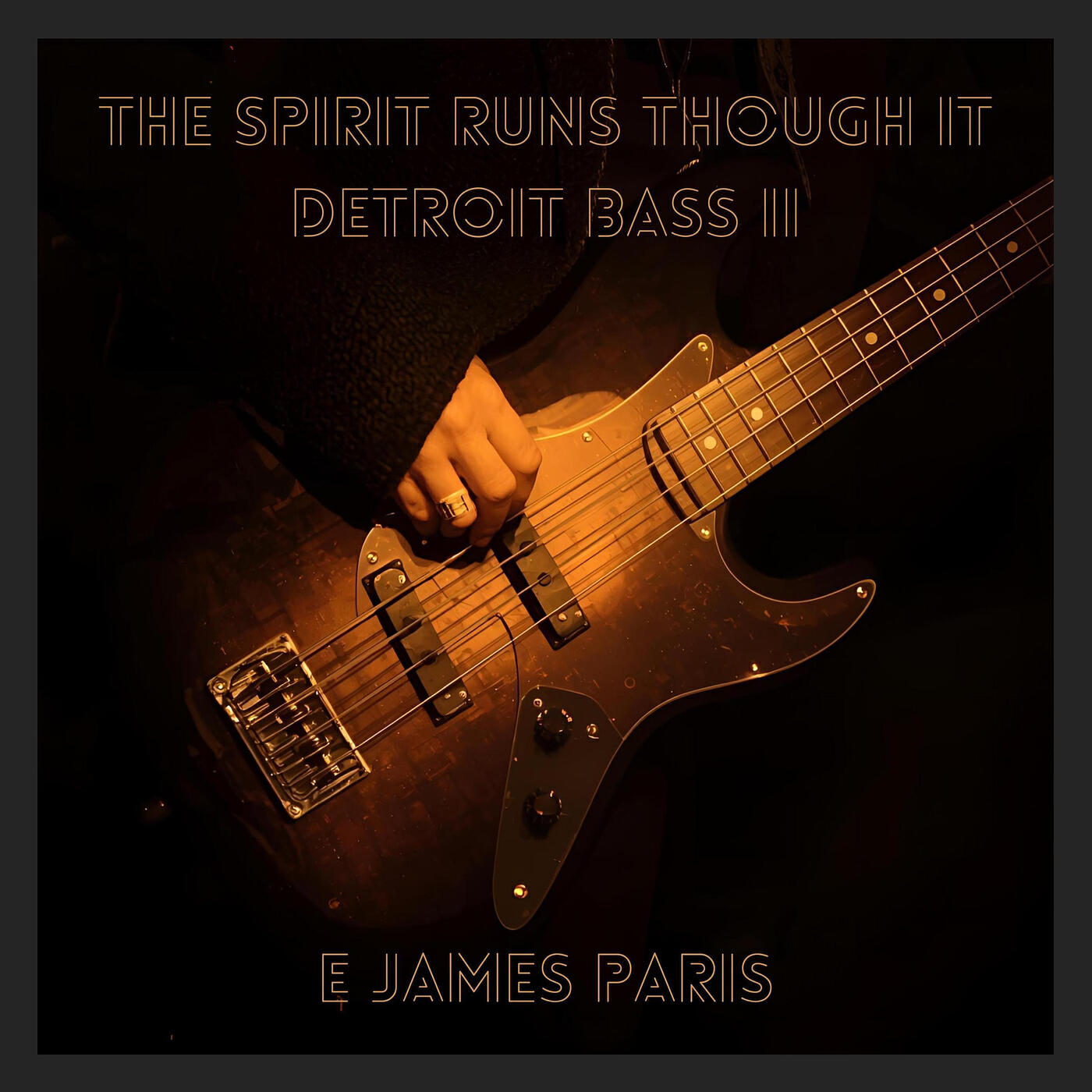 Релиз The Spirit Runs Through It Detroit Bass II