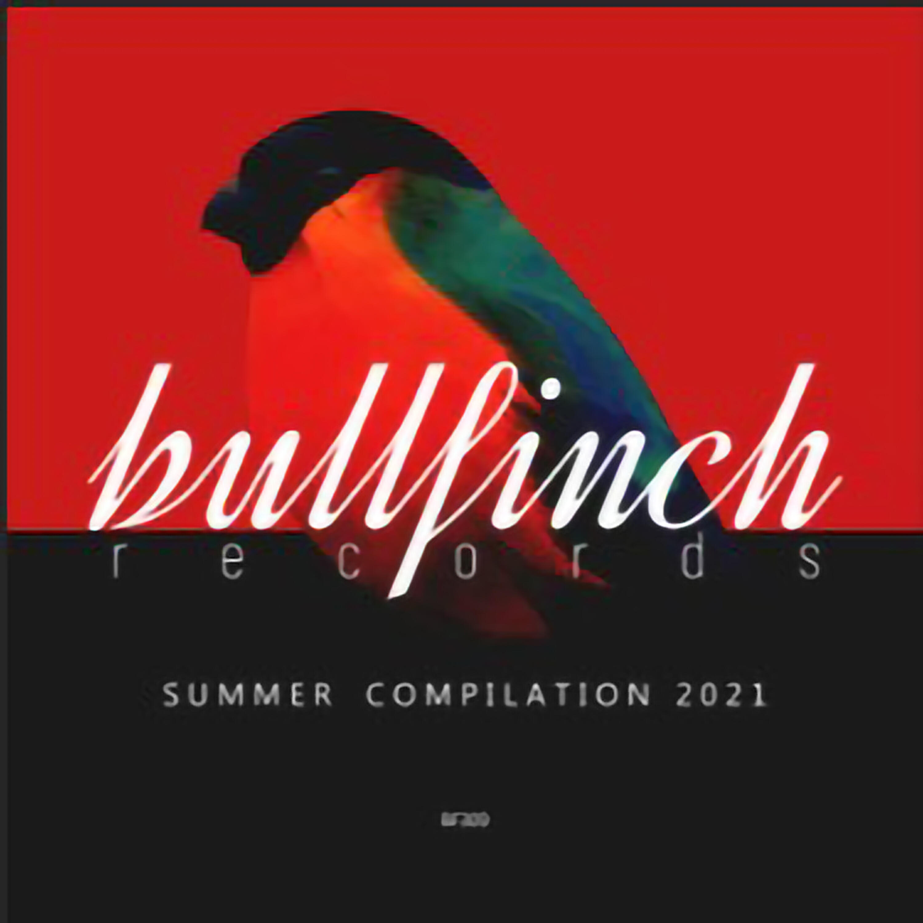 Релиз Birds