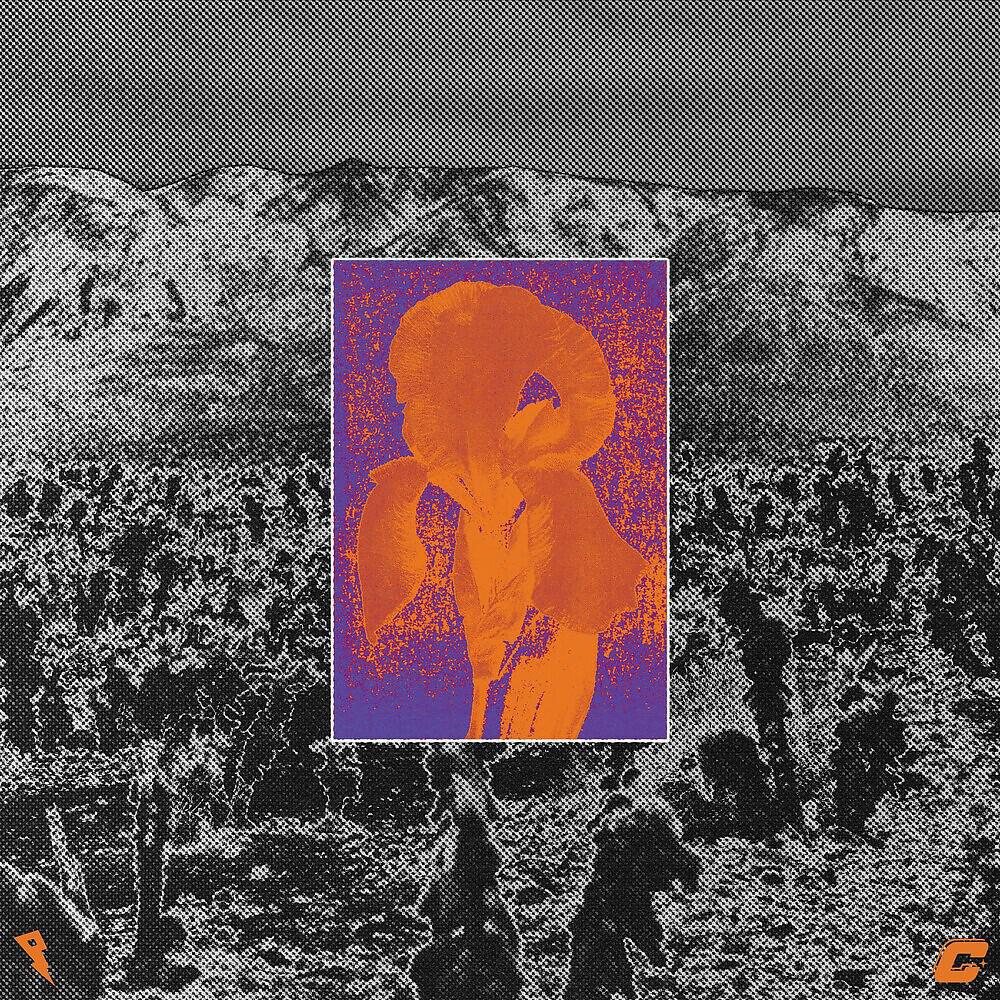 Релиз Stranded