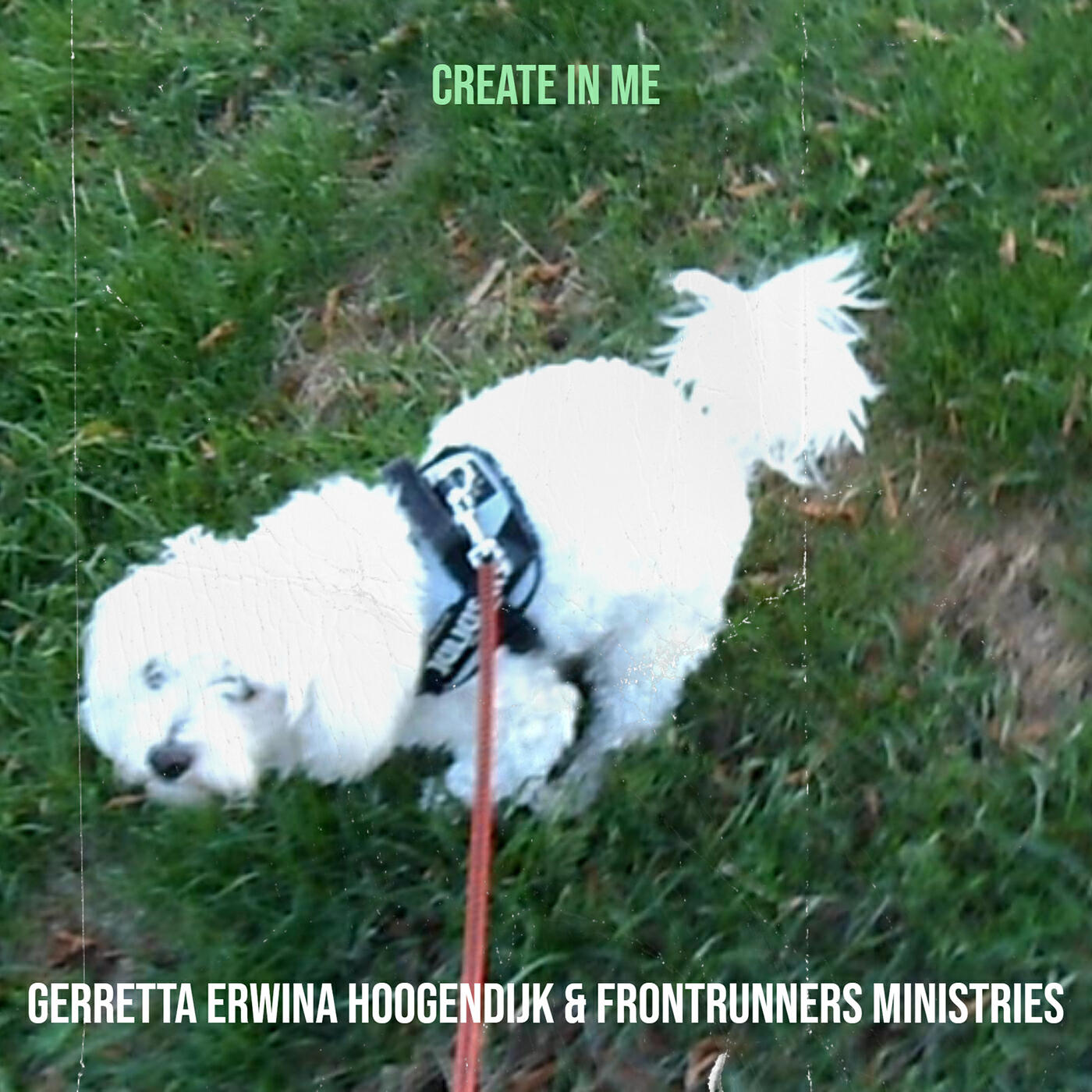 Релиз Create in Me