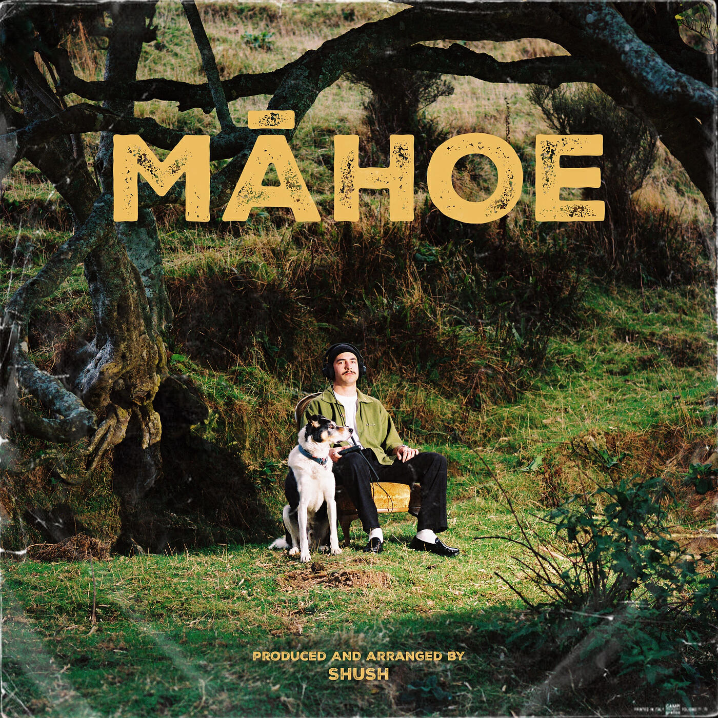 Релиз Māhoe