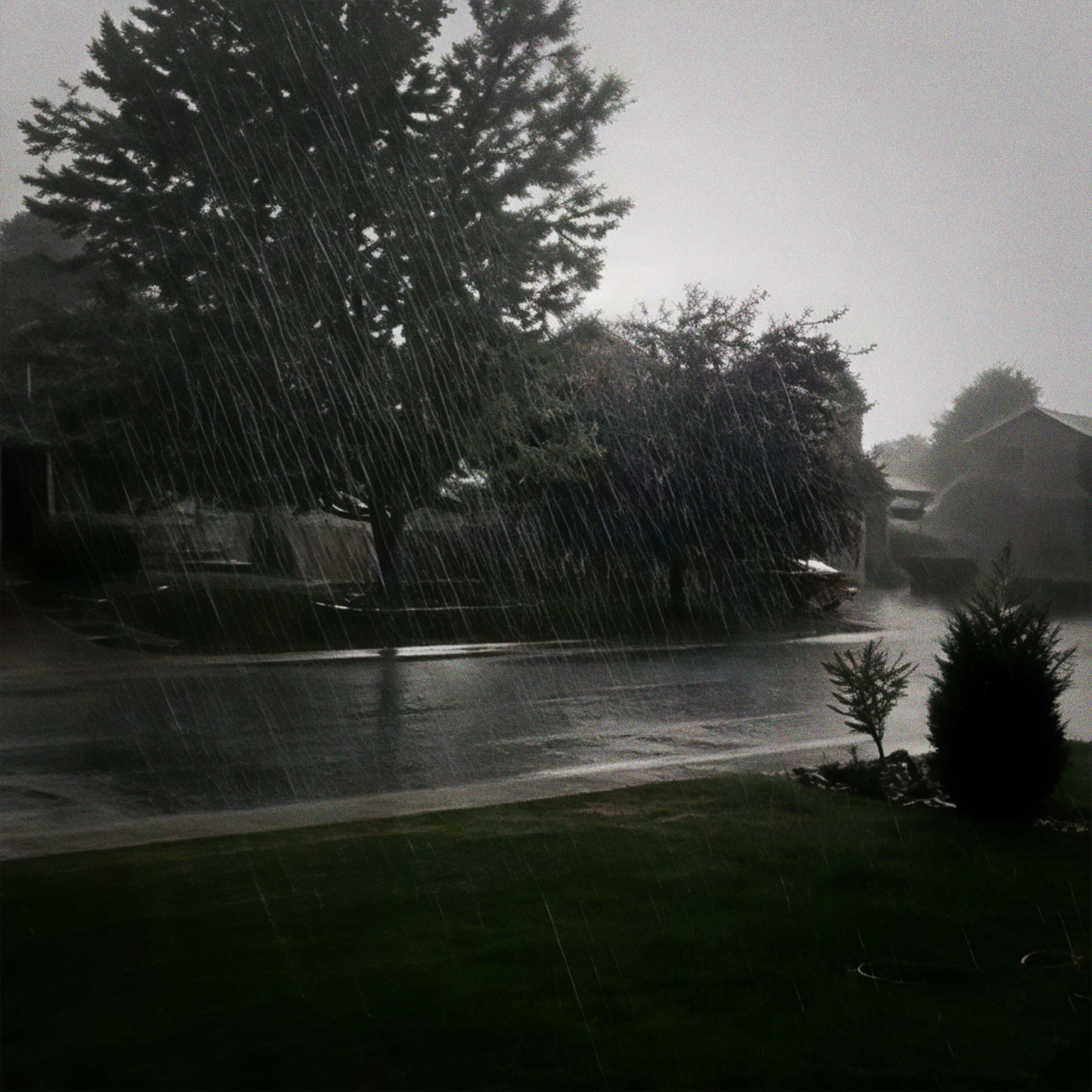 Релиз rain