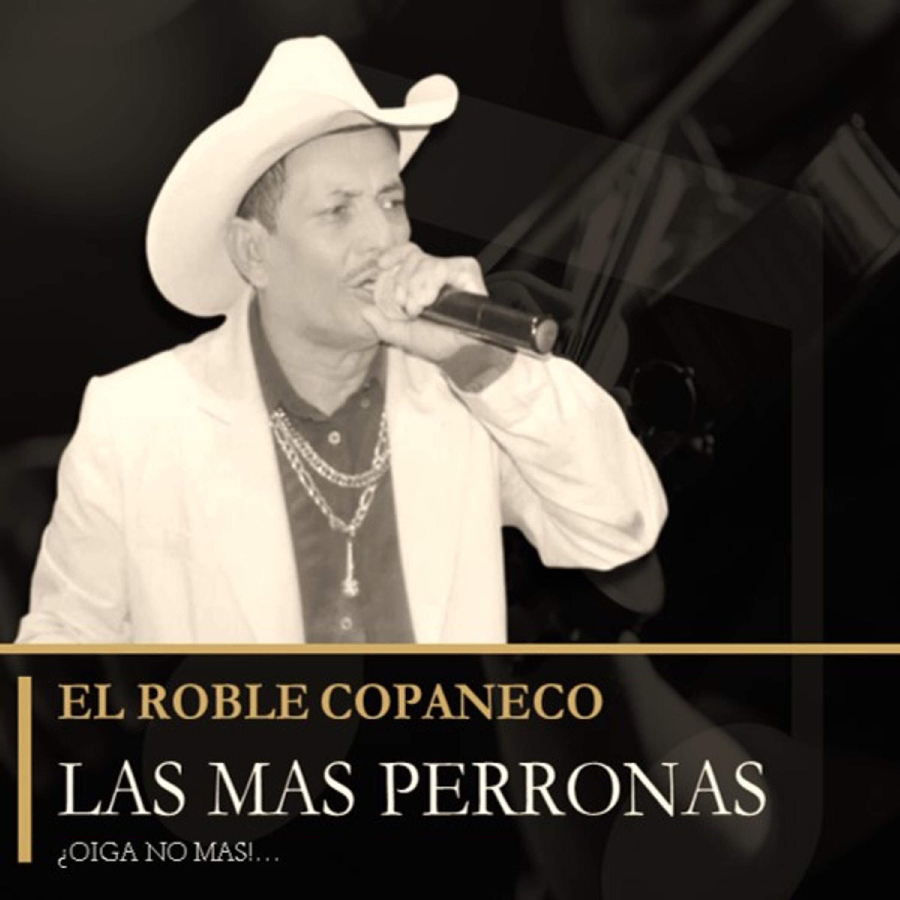 EL ROBLE ROBLE COPANECO