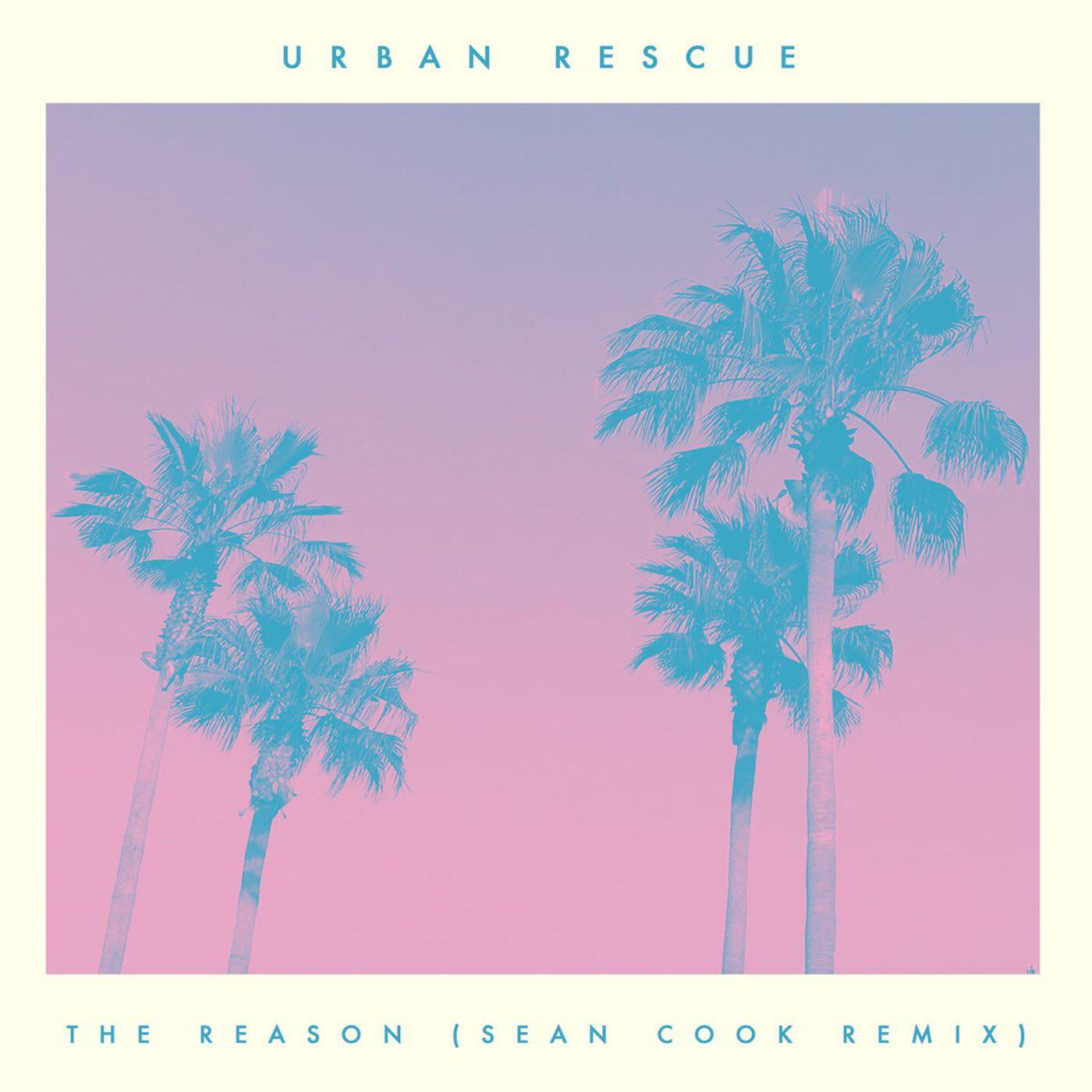 Релиз The Reason (Sean Cook Remix)