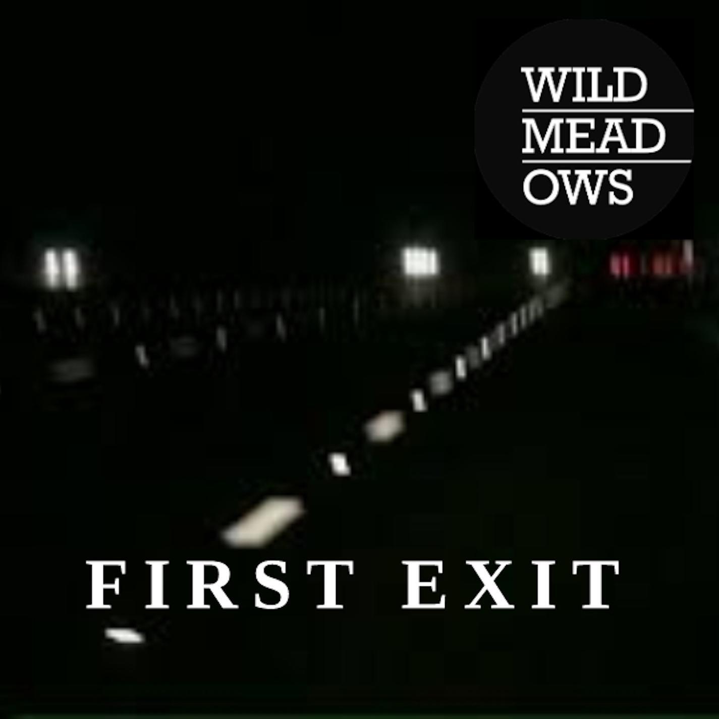 Релиз First Exit