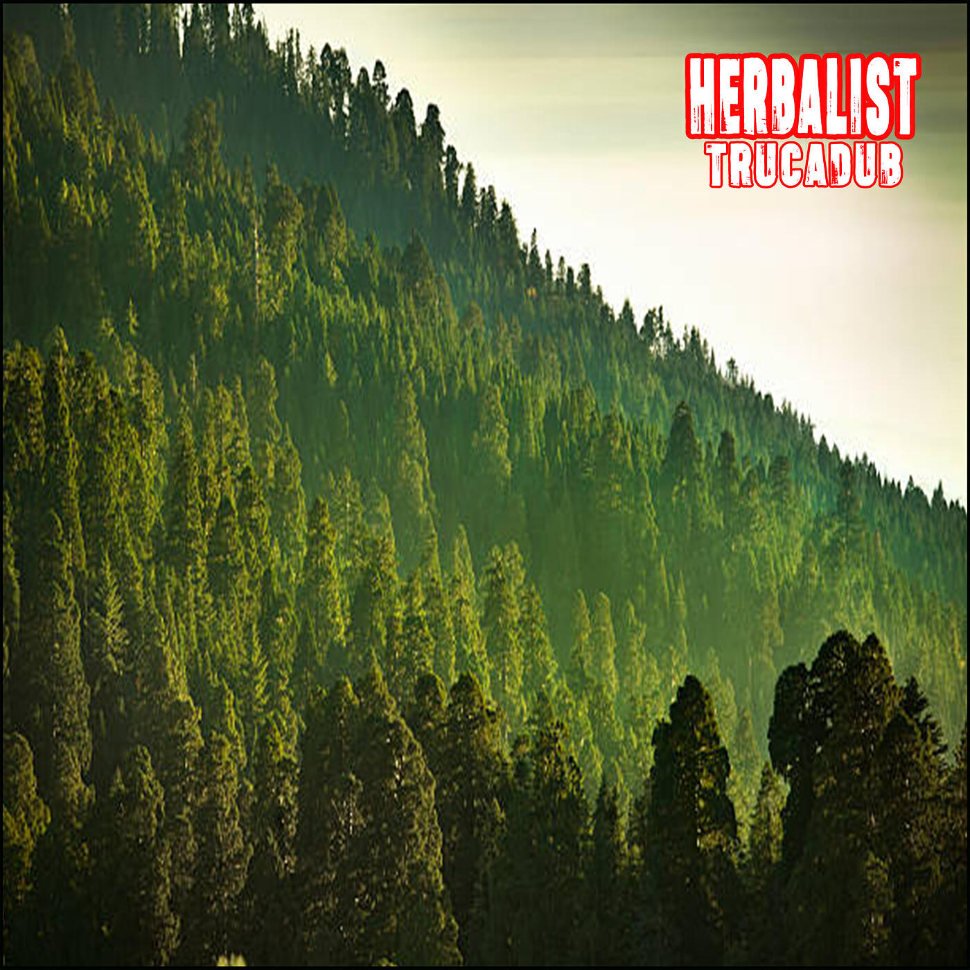 Постер альбома HERBALIST