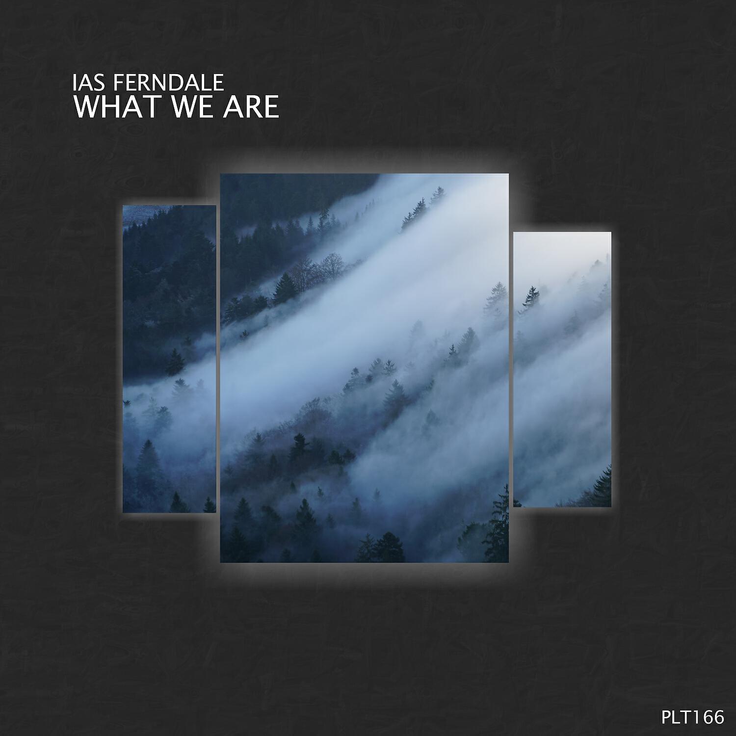 Релиз What We Are