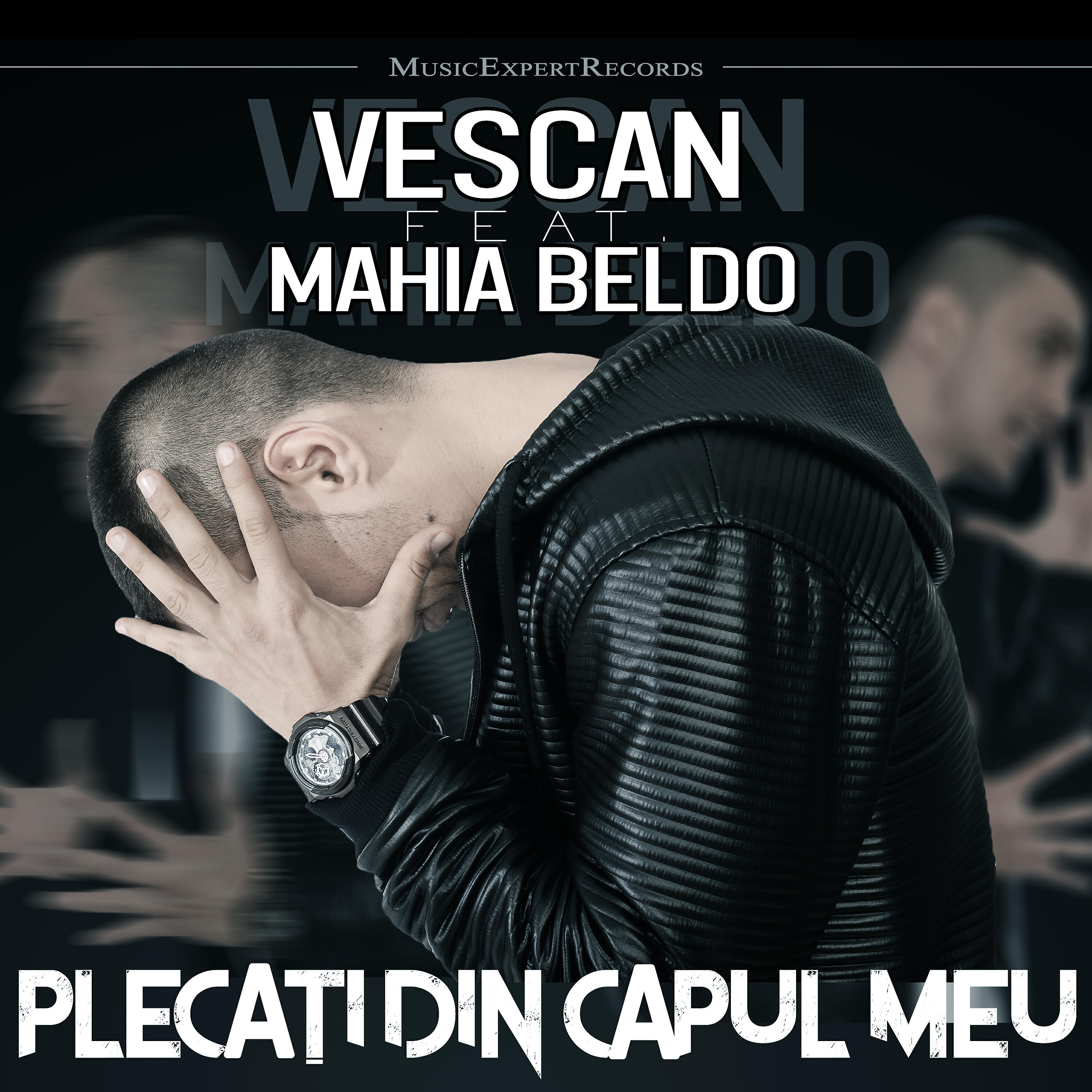 Постер альбома Plecati din capul meu