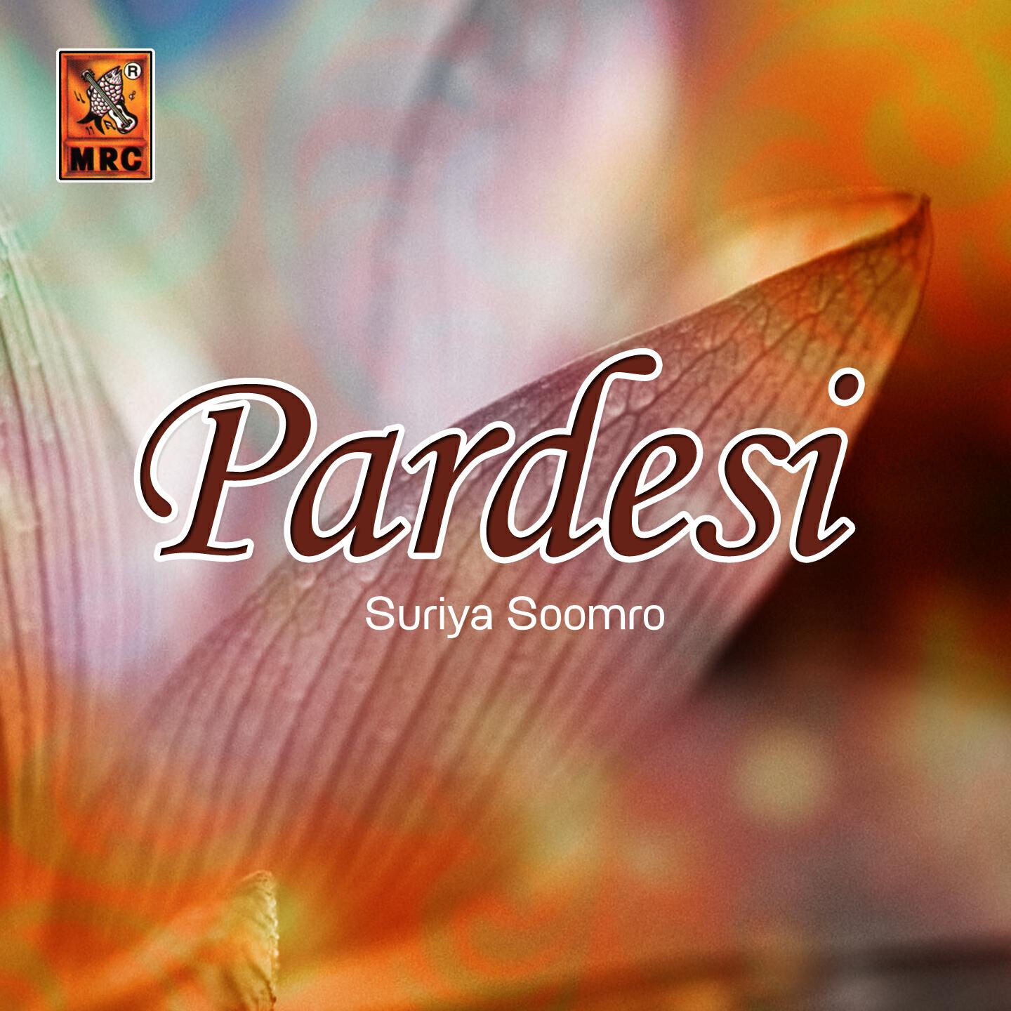 Релиз Pardesi