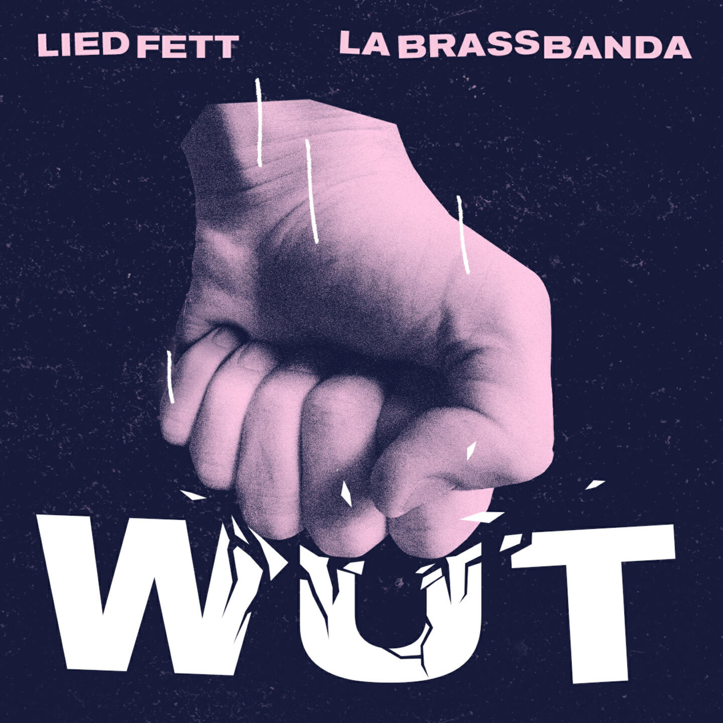 Релиз Wut