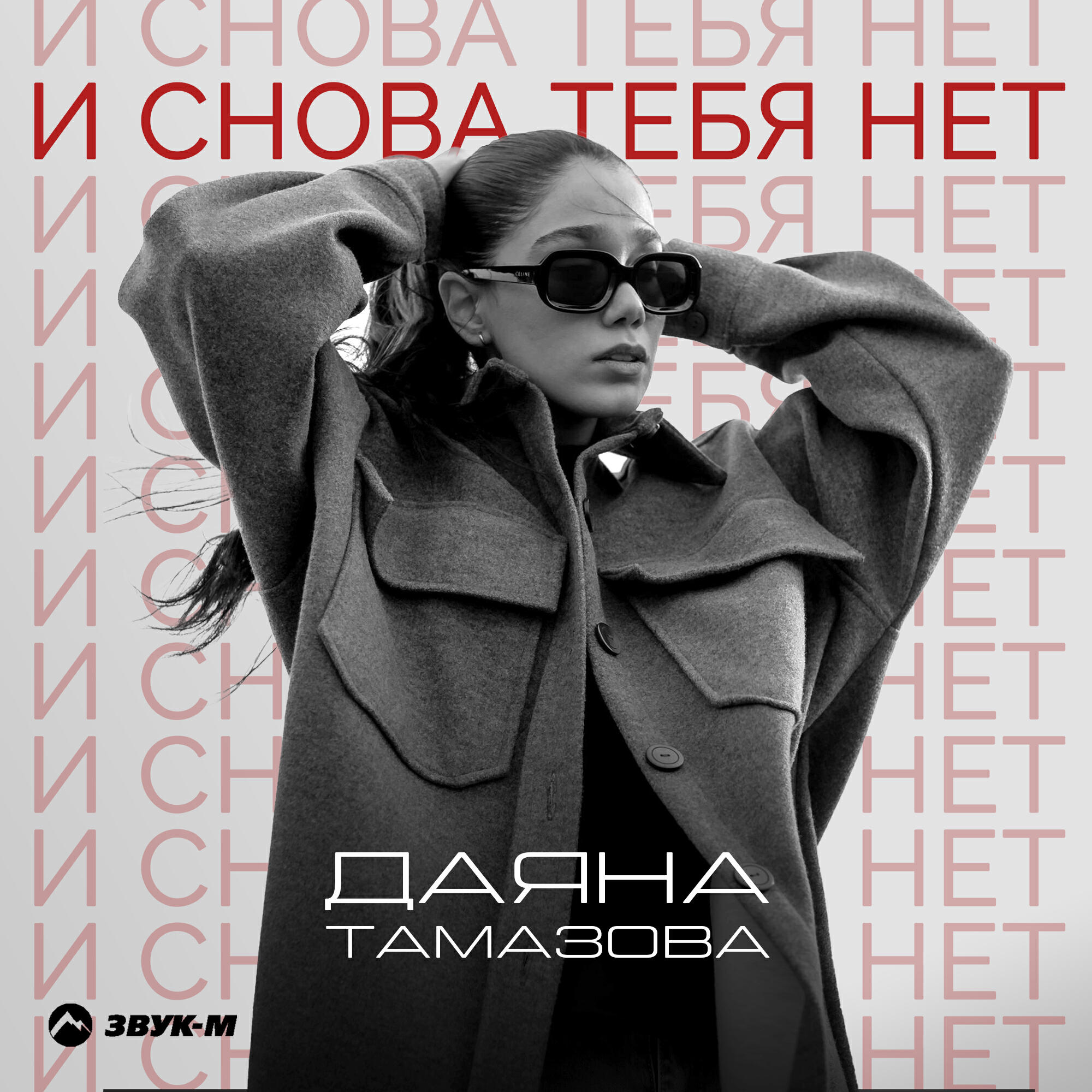 Постер альбома И снова тебя нет