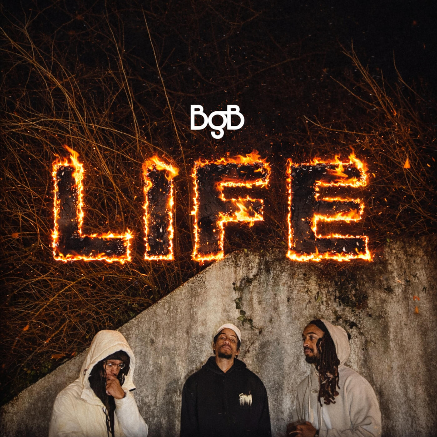 Релиз Life
