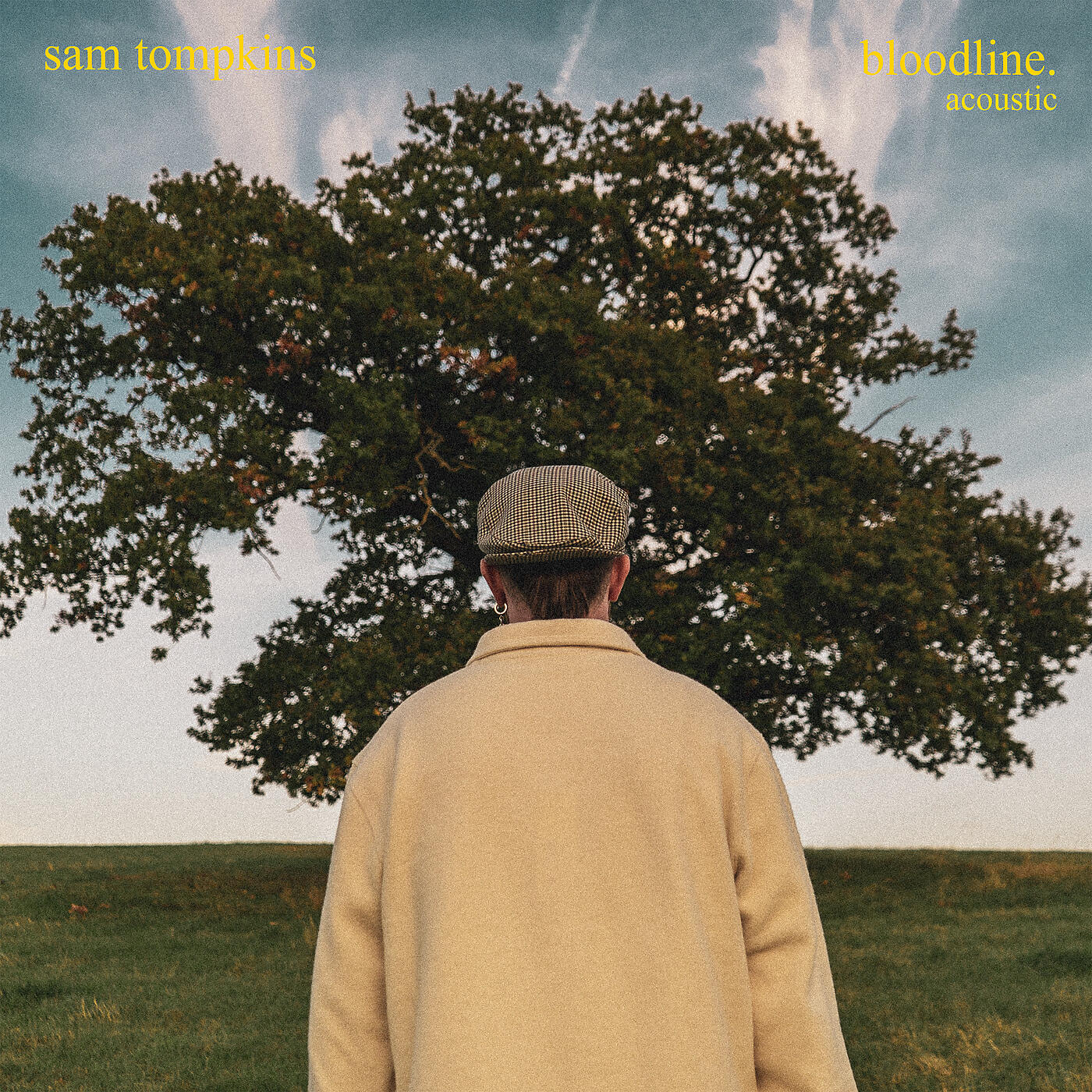 Релиз Bloodline (Acoustic)
