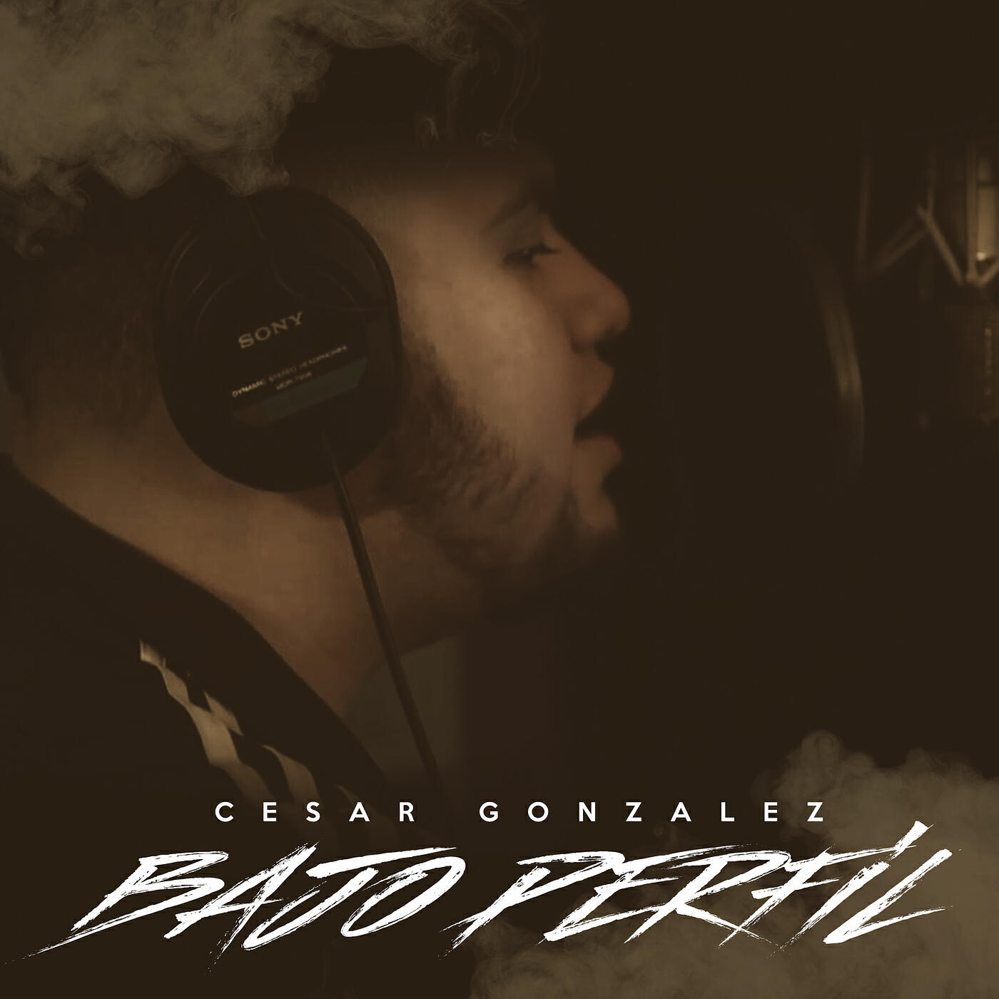 Релиз Bajo Perfil