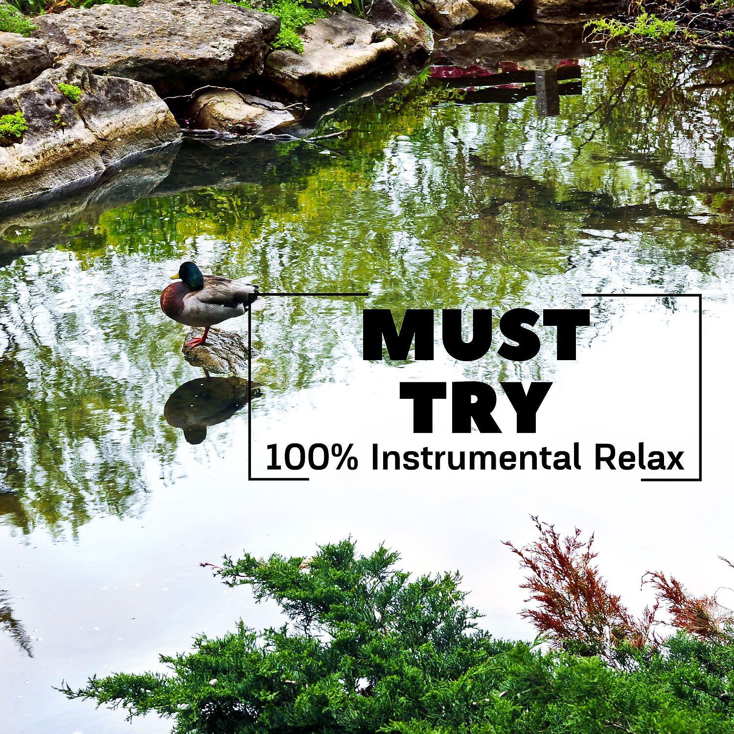 Релиз Must Try: 100% Instrumental Relax