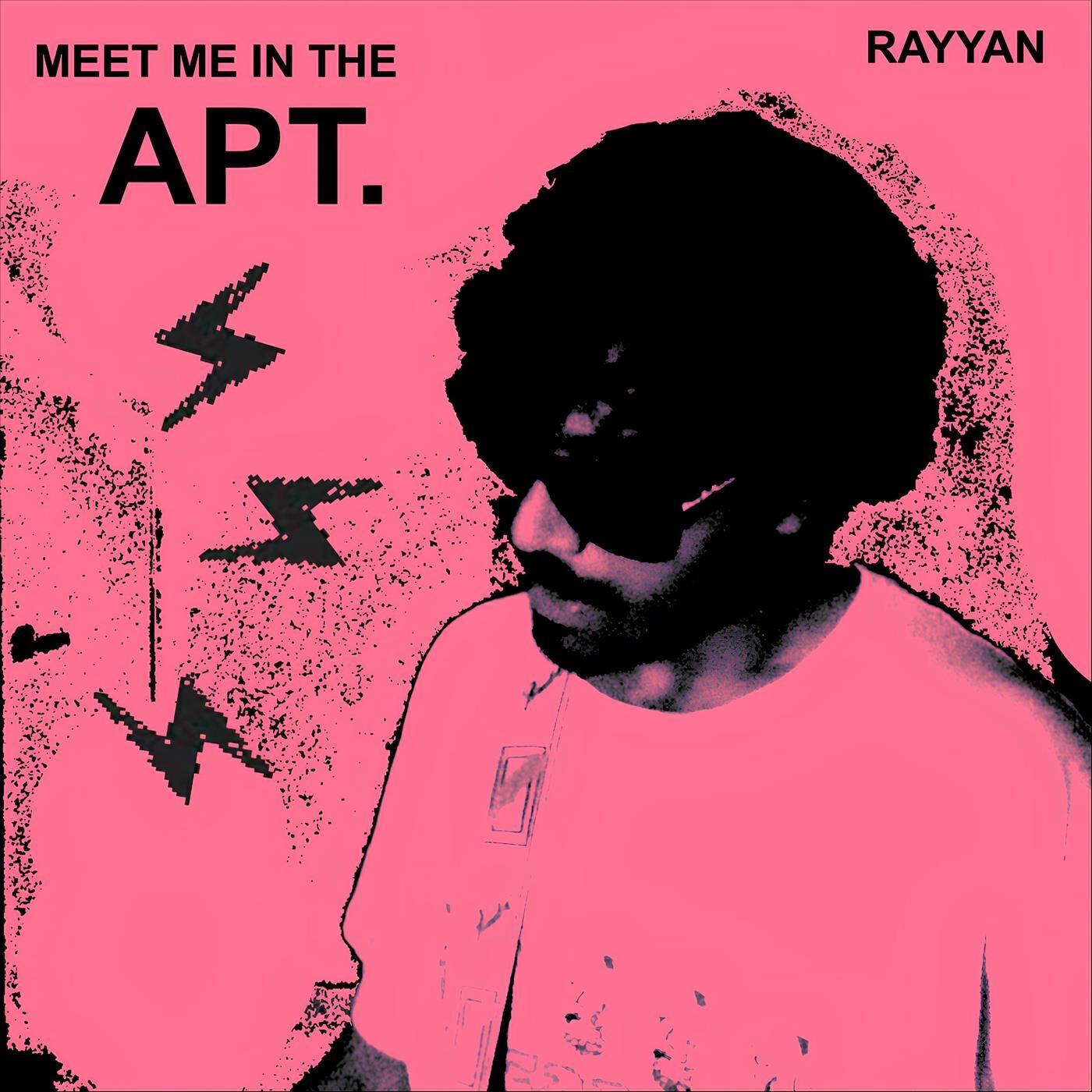 Релиз Meet Me in the APT.