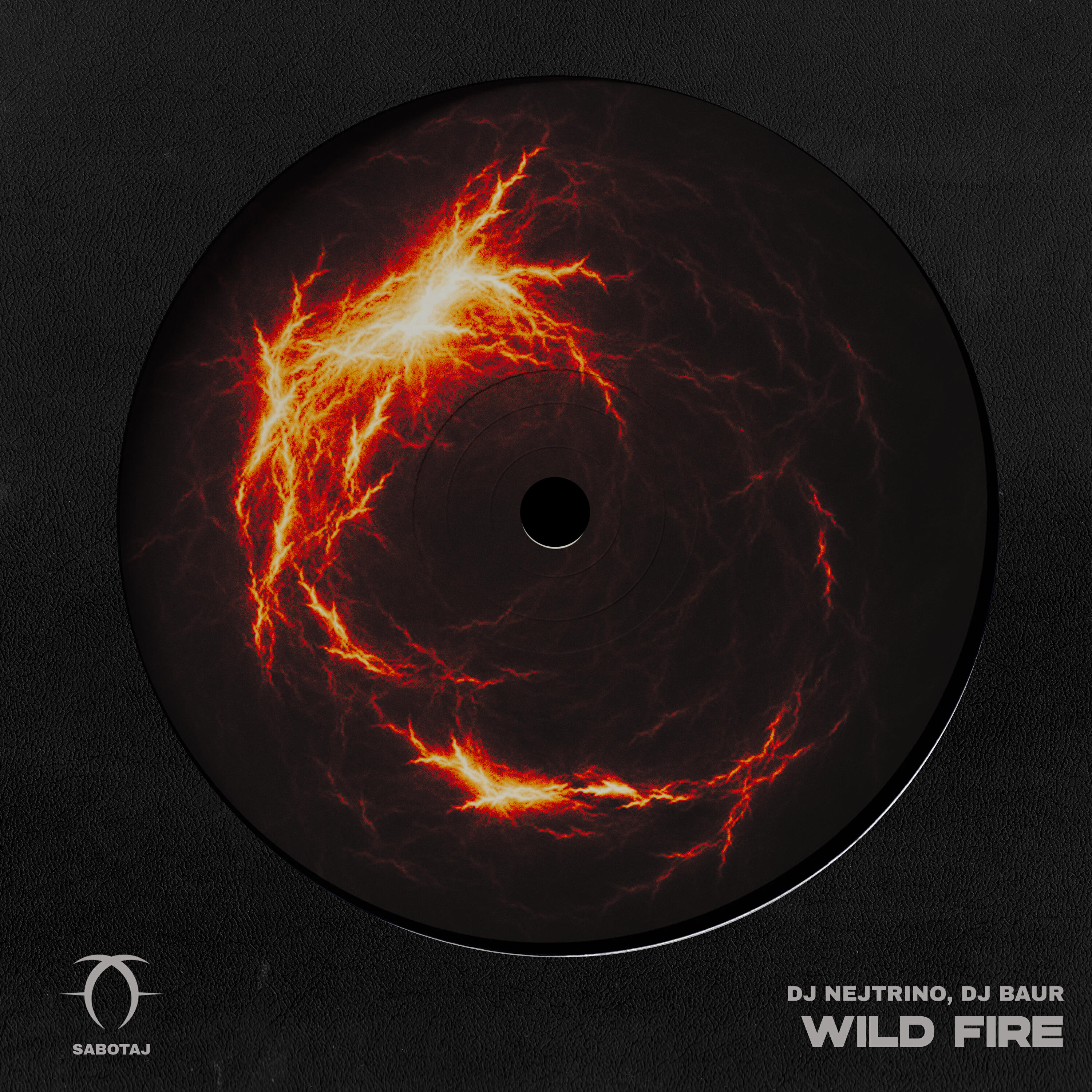 Постер альбома Wild Fire