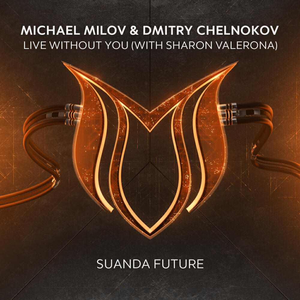 Релиз Live Without You