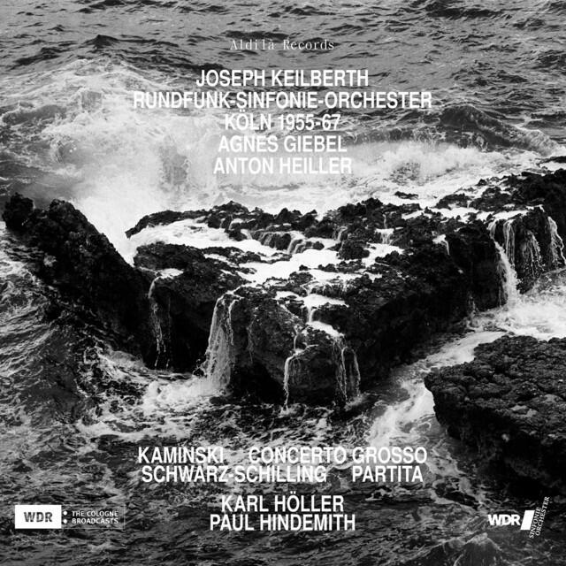 Релиз Kaminski, Schwarz-Schilling, & Höller: Orchestra Works